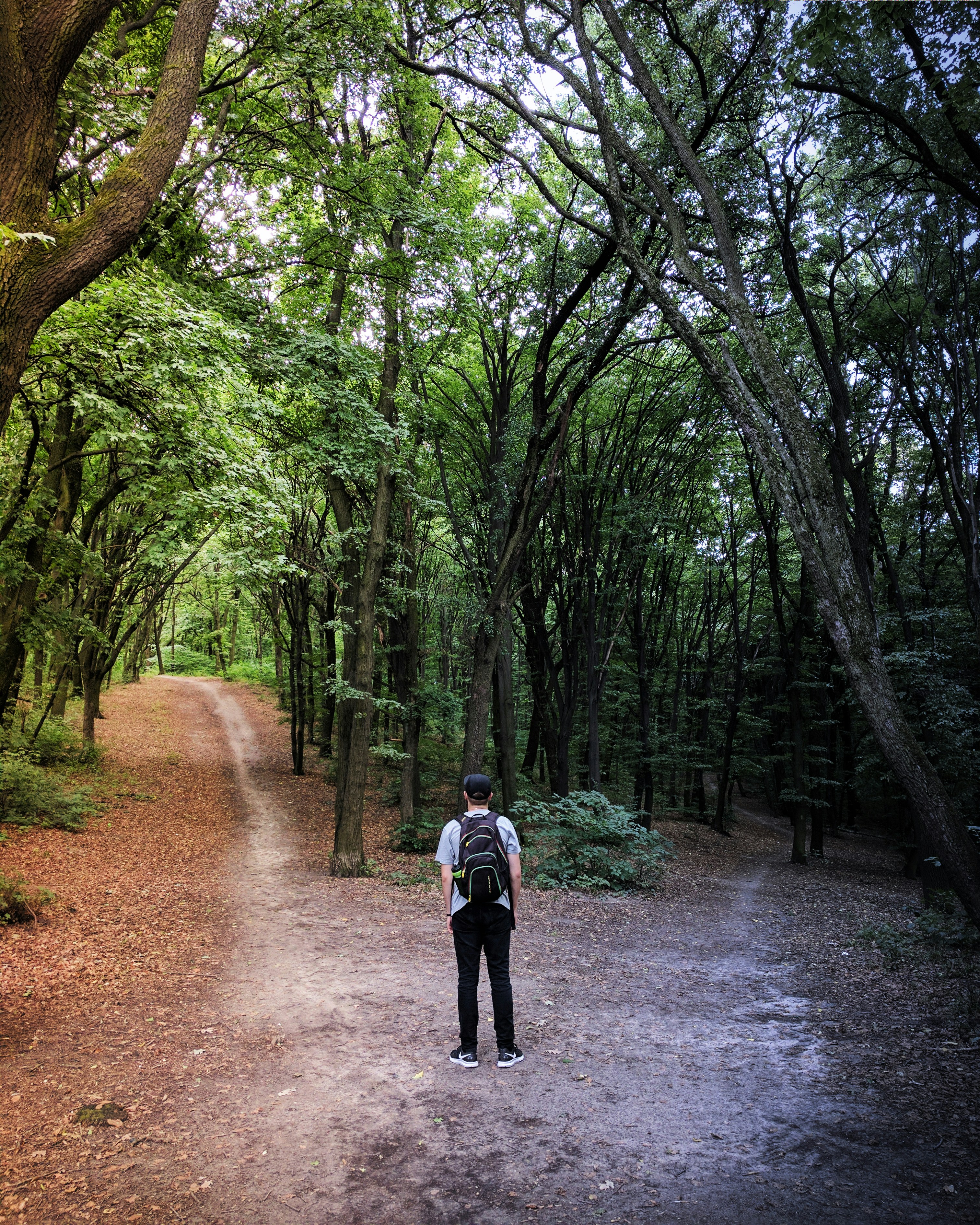 Decoding the Dilemma Between Fear and Love, Stay or Go?