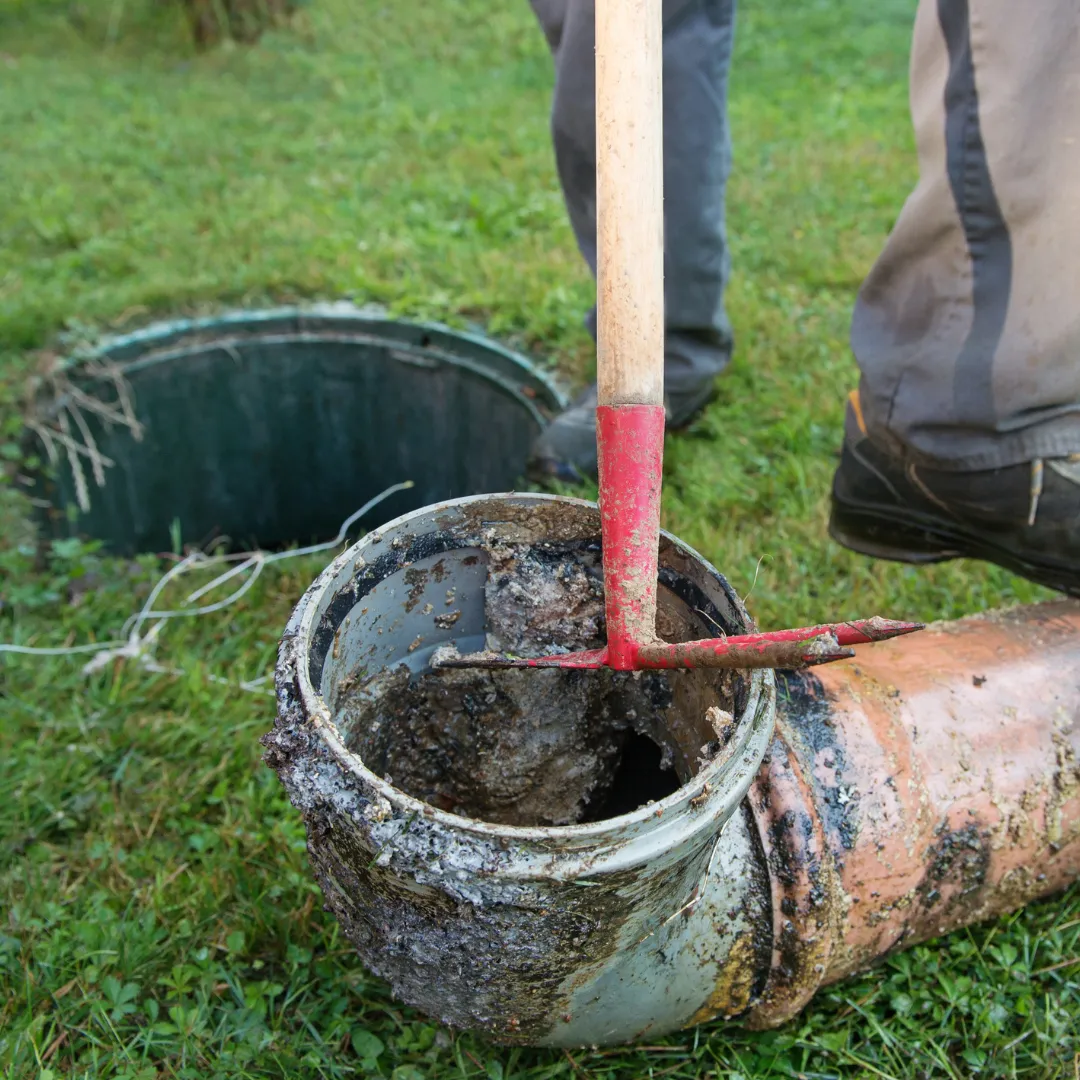 septic maintenance