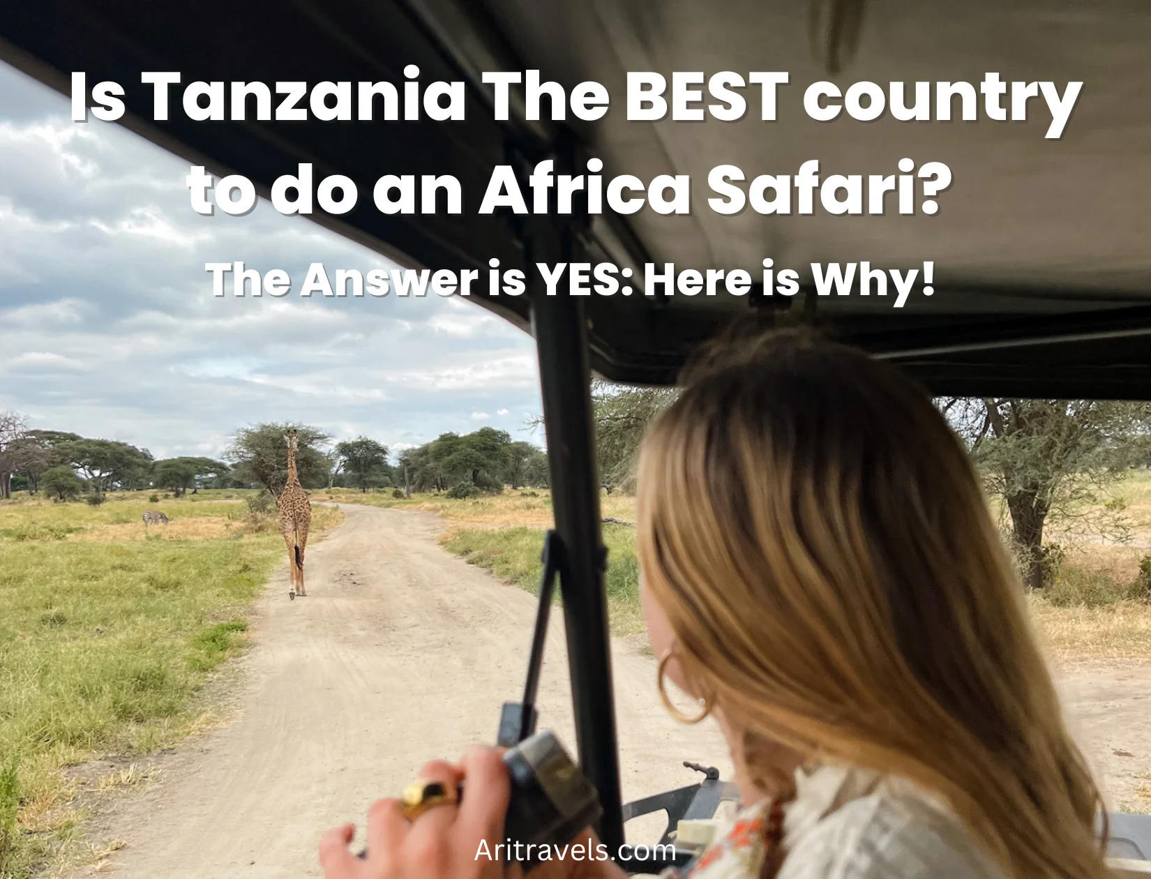 Migration Tanzania Safari is the best safari company in tanzania 