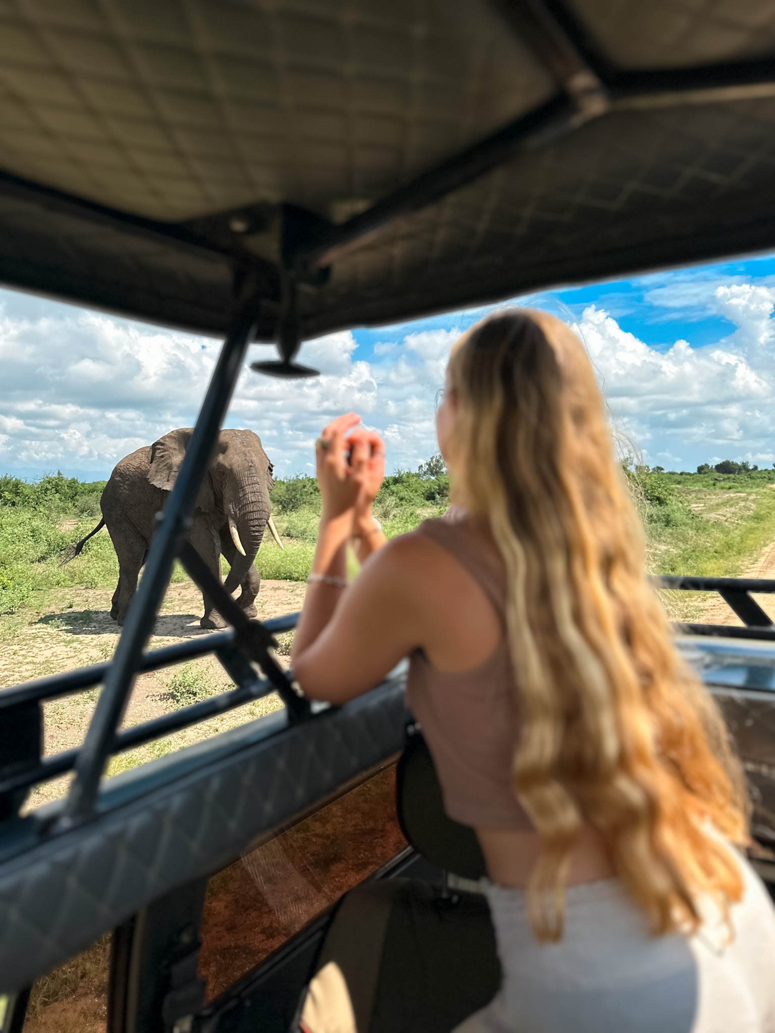 exploring queen Elizabeth national park in uganda with native africa tours