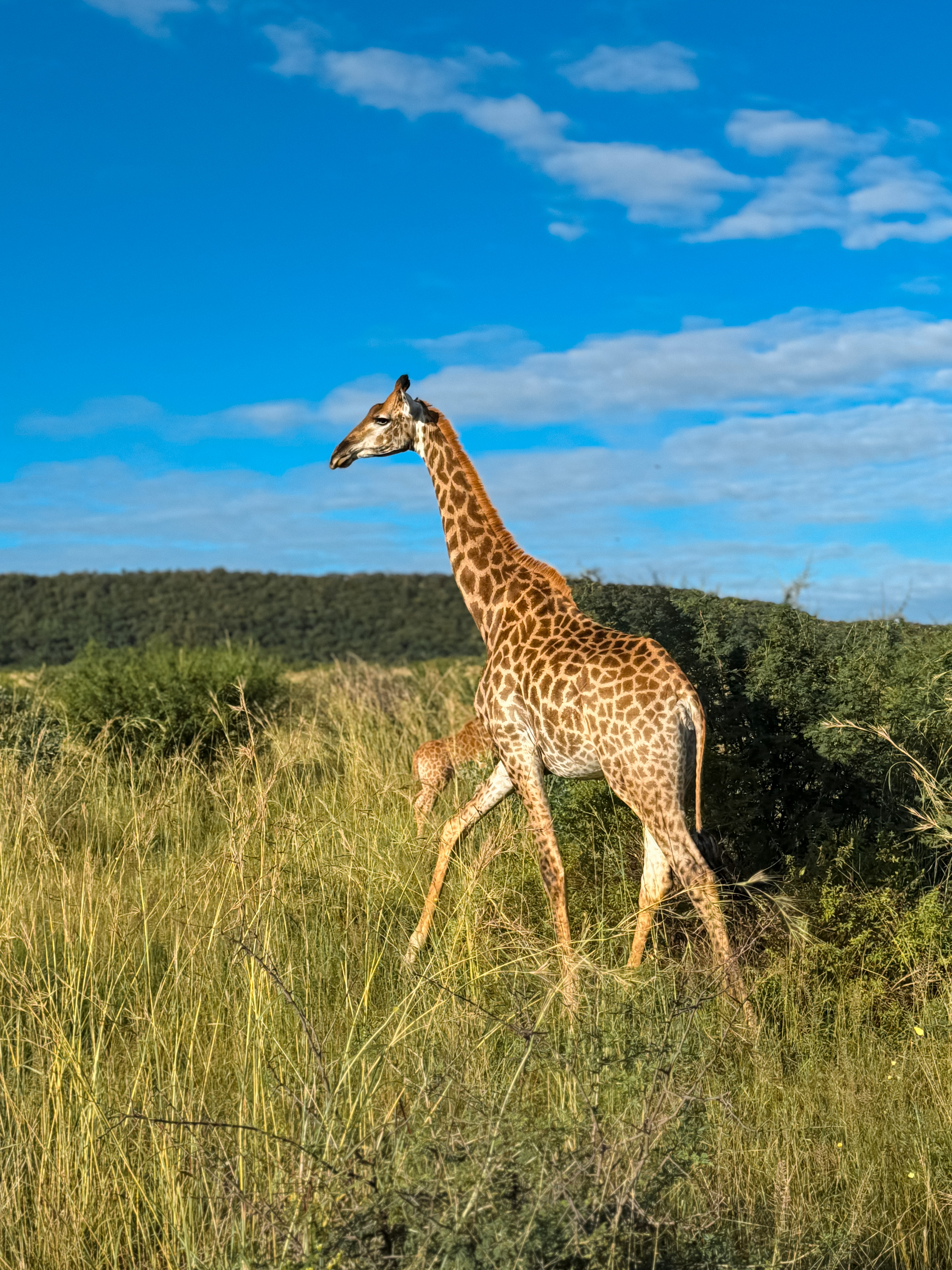 entabeni national park