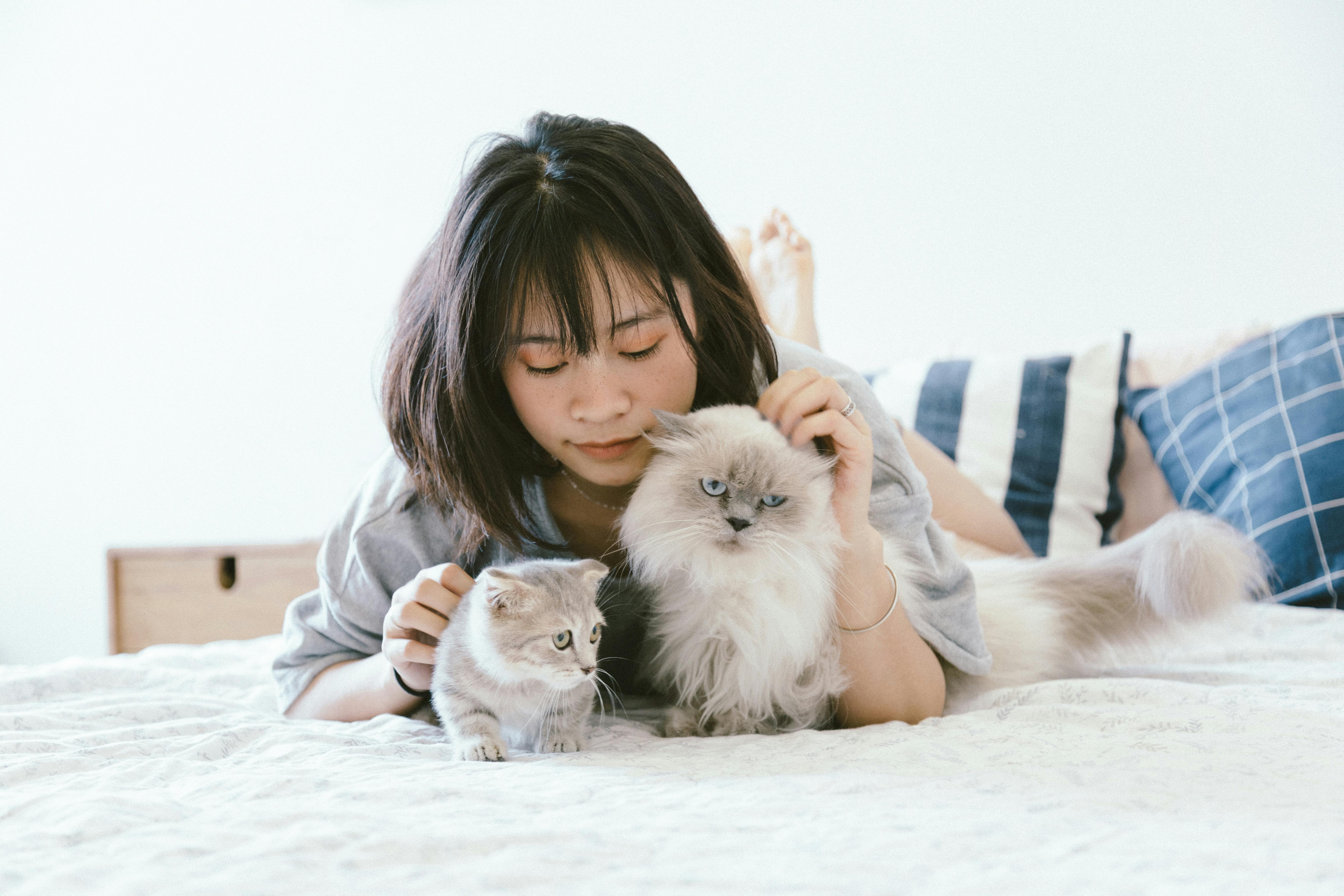 Aligned Harmony with Our Fur Family: Deepening the Connection with Our Beloved Pets Aligned Harmony with Our Fur Family: Deepening the Connection with Our Beloved Pets