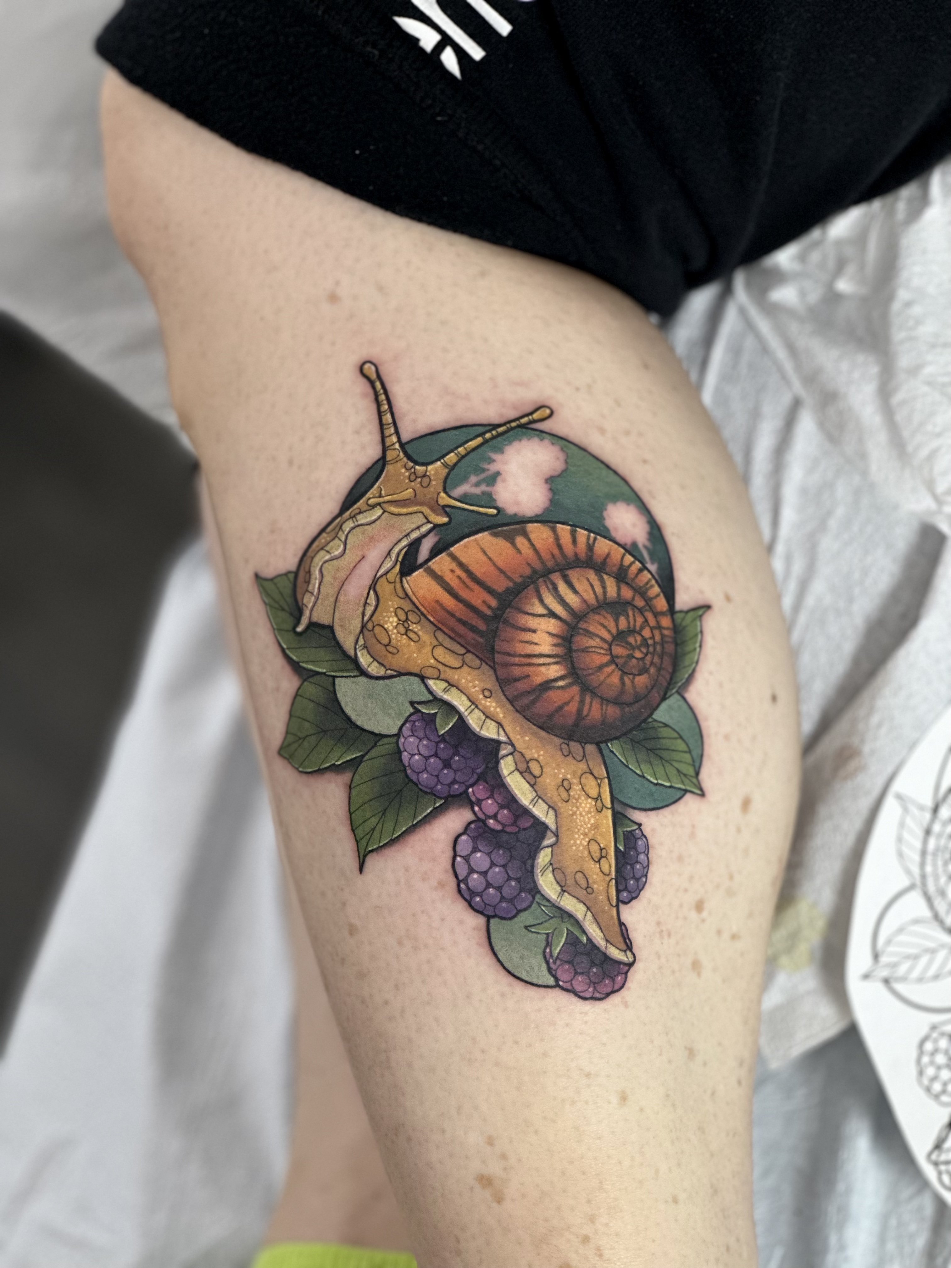 Birdie Tattoos Snail Tattoo