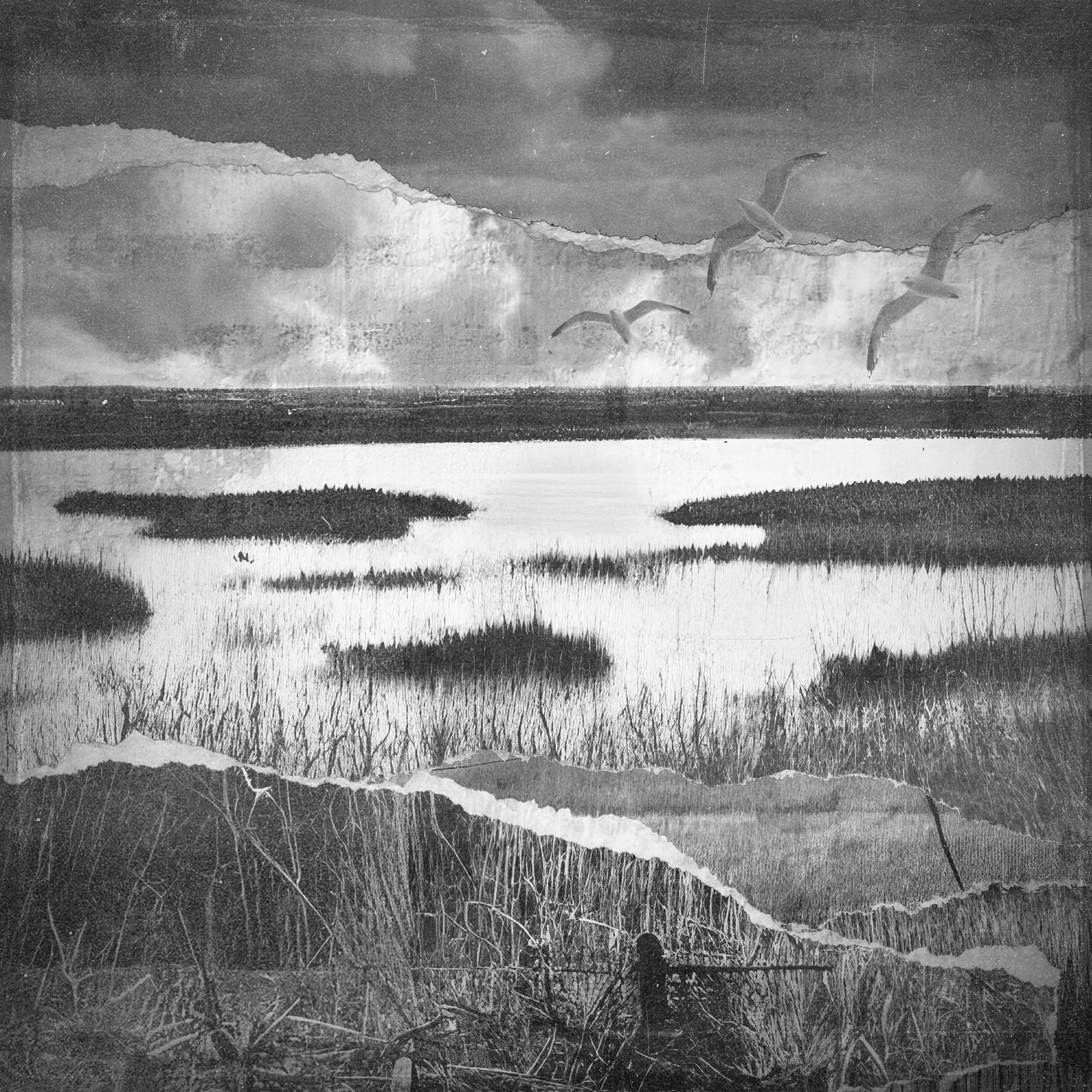 Estuary Marshes Collage by Adrian Lane