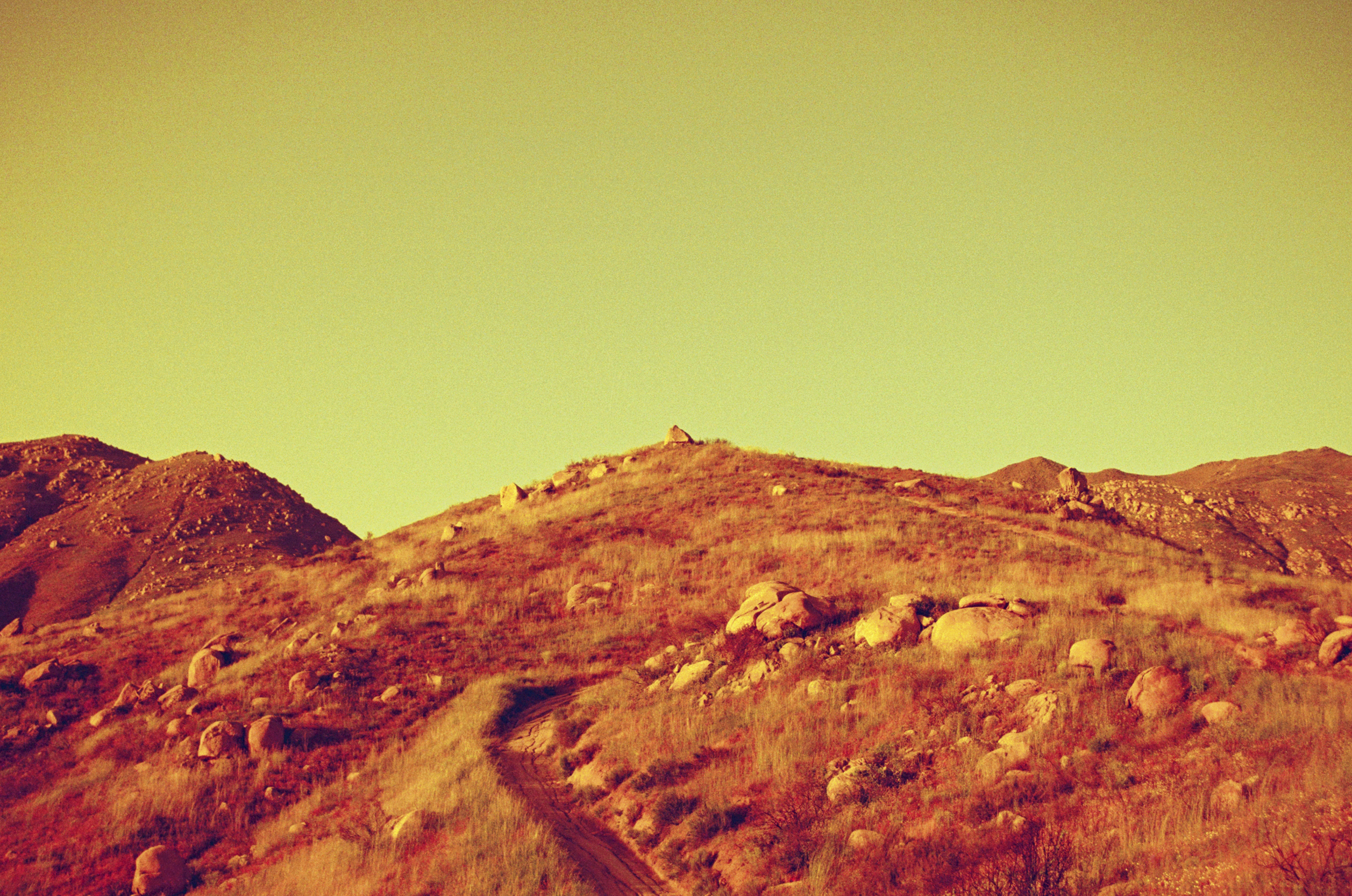 Braulio Lam Redscale Photography 1