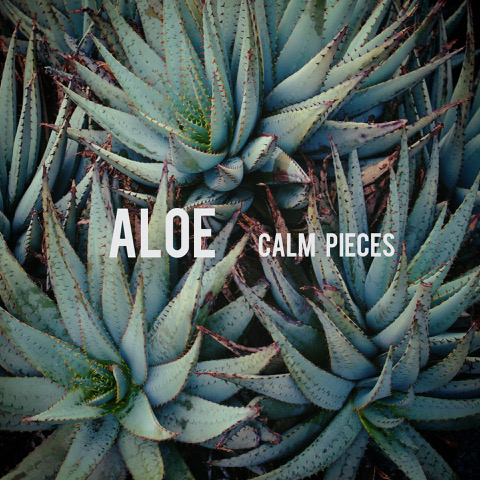 Calm Pieces Aloe Calm Pieces Aloe