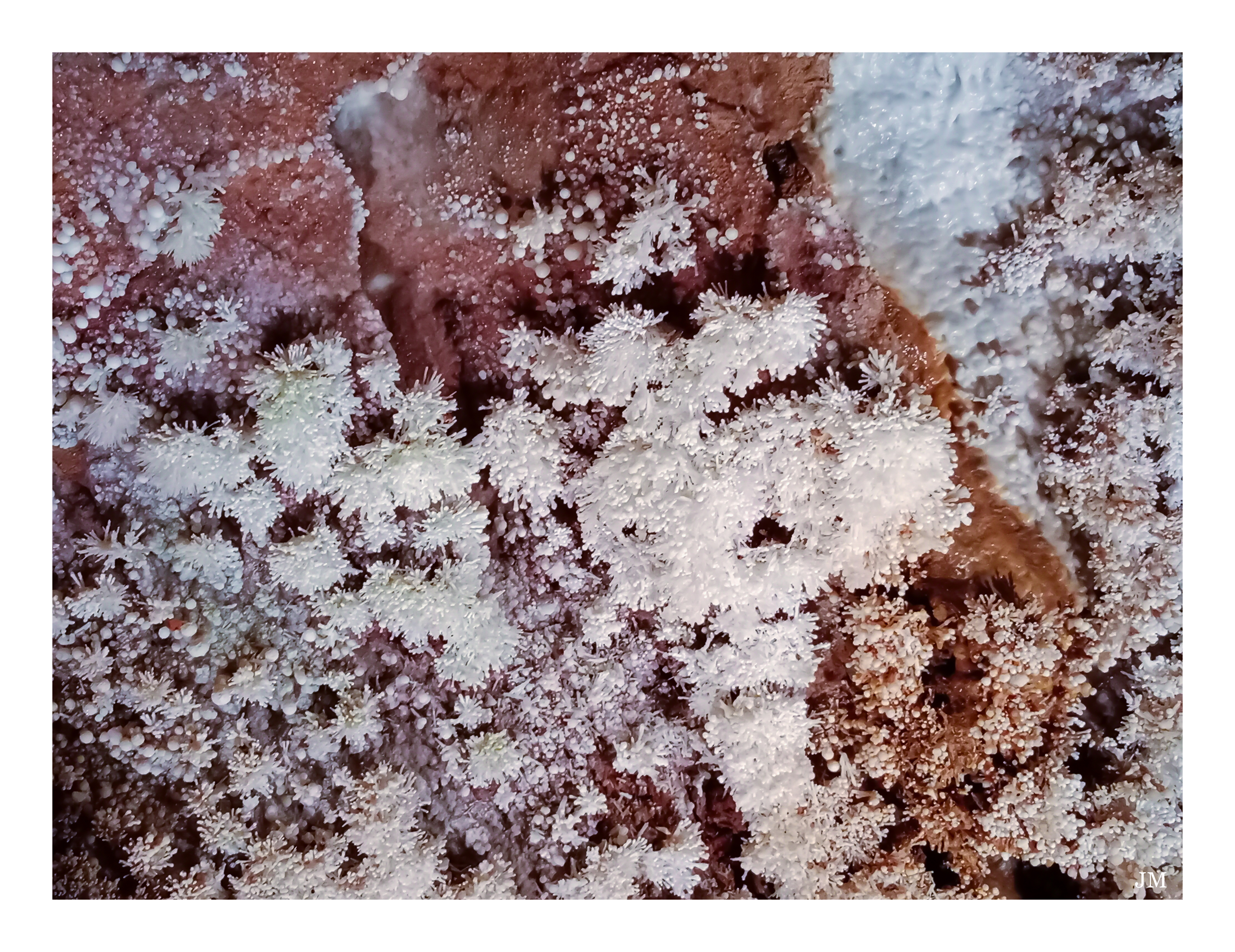 Jolanda Blog 11