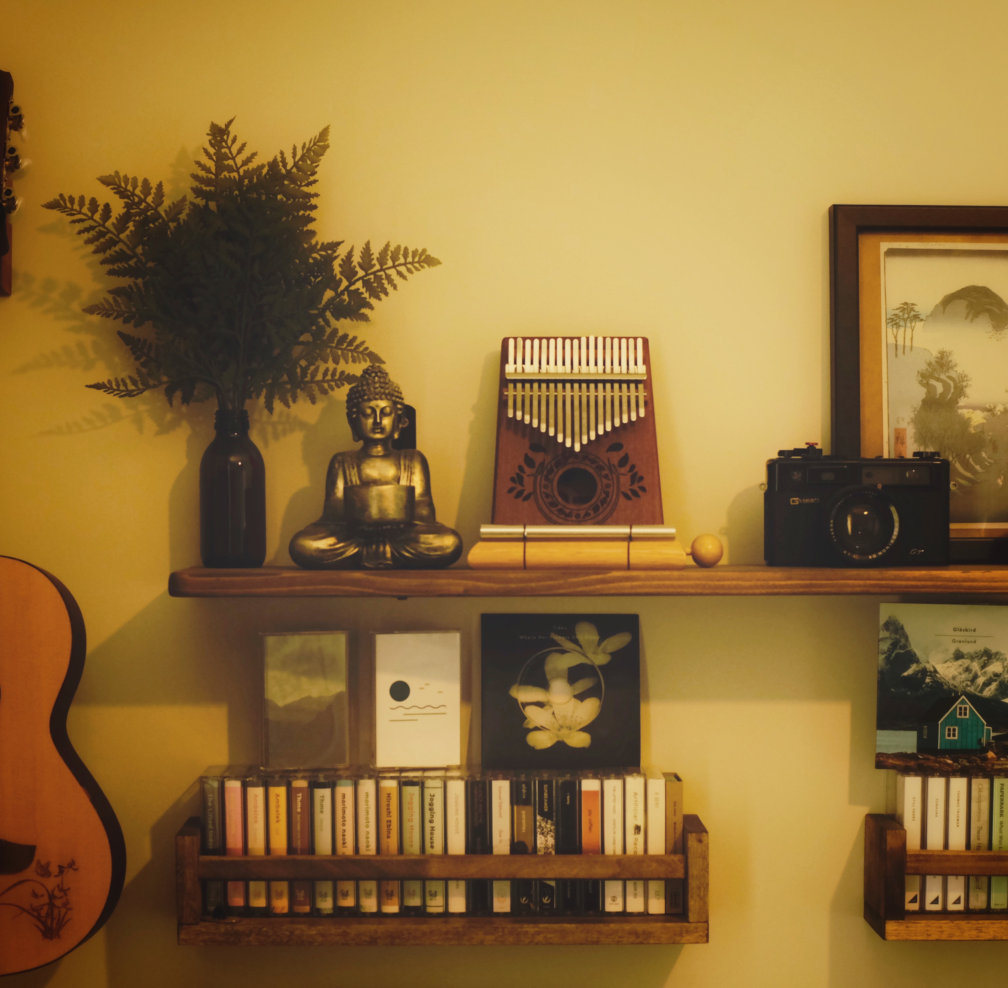 CD Collector - Sam