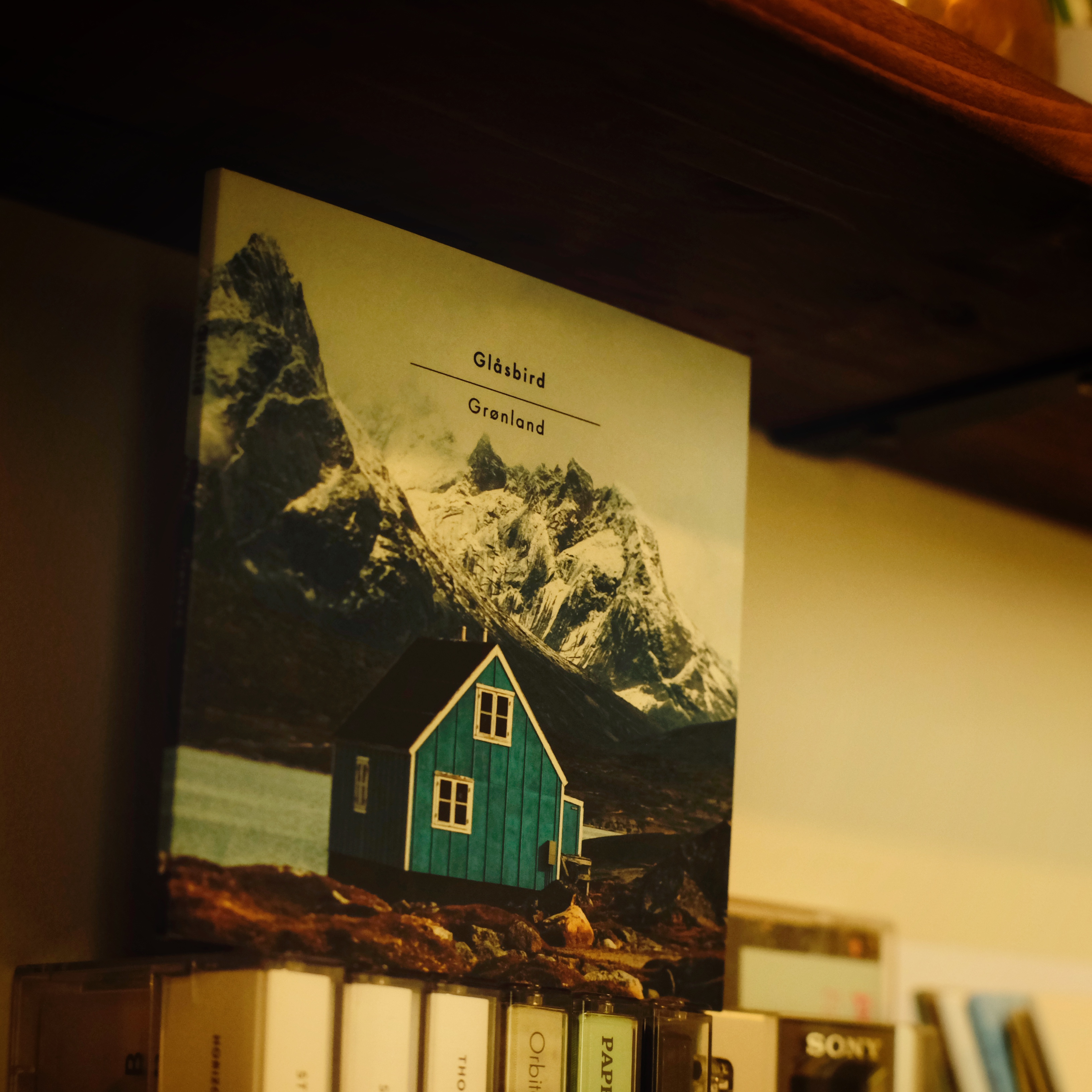 CD Collector - Sam