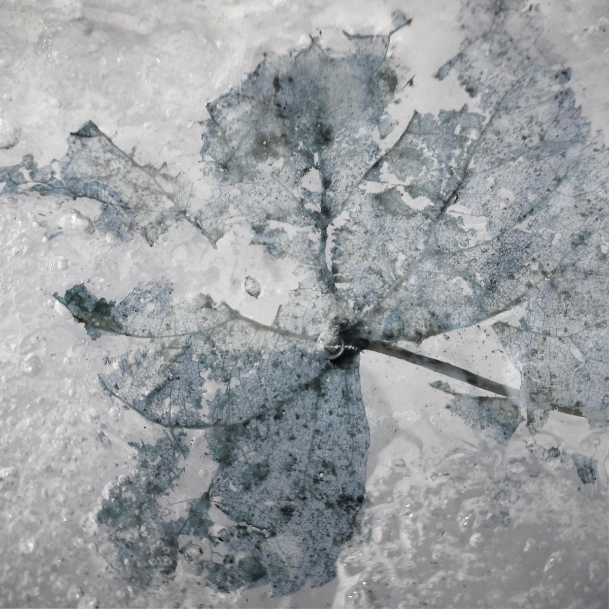 David Cordero - Restless Nature