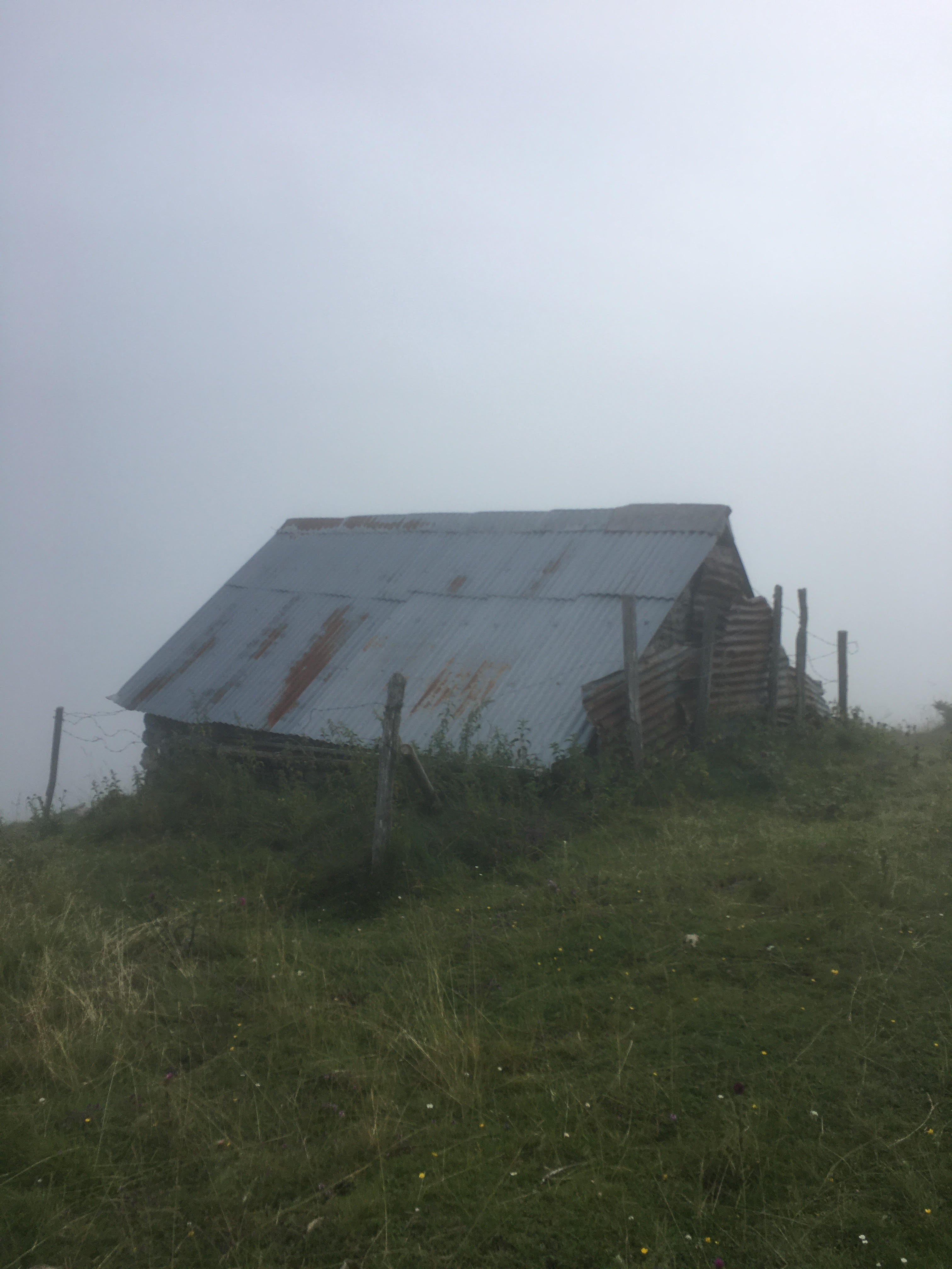 1 fog 17h02
