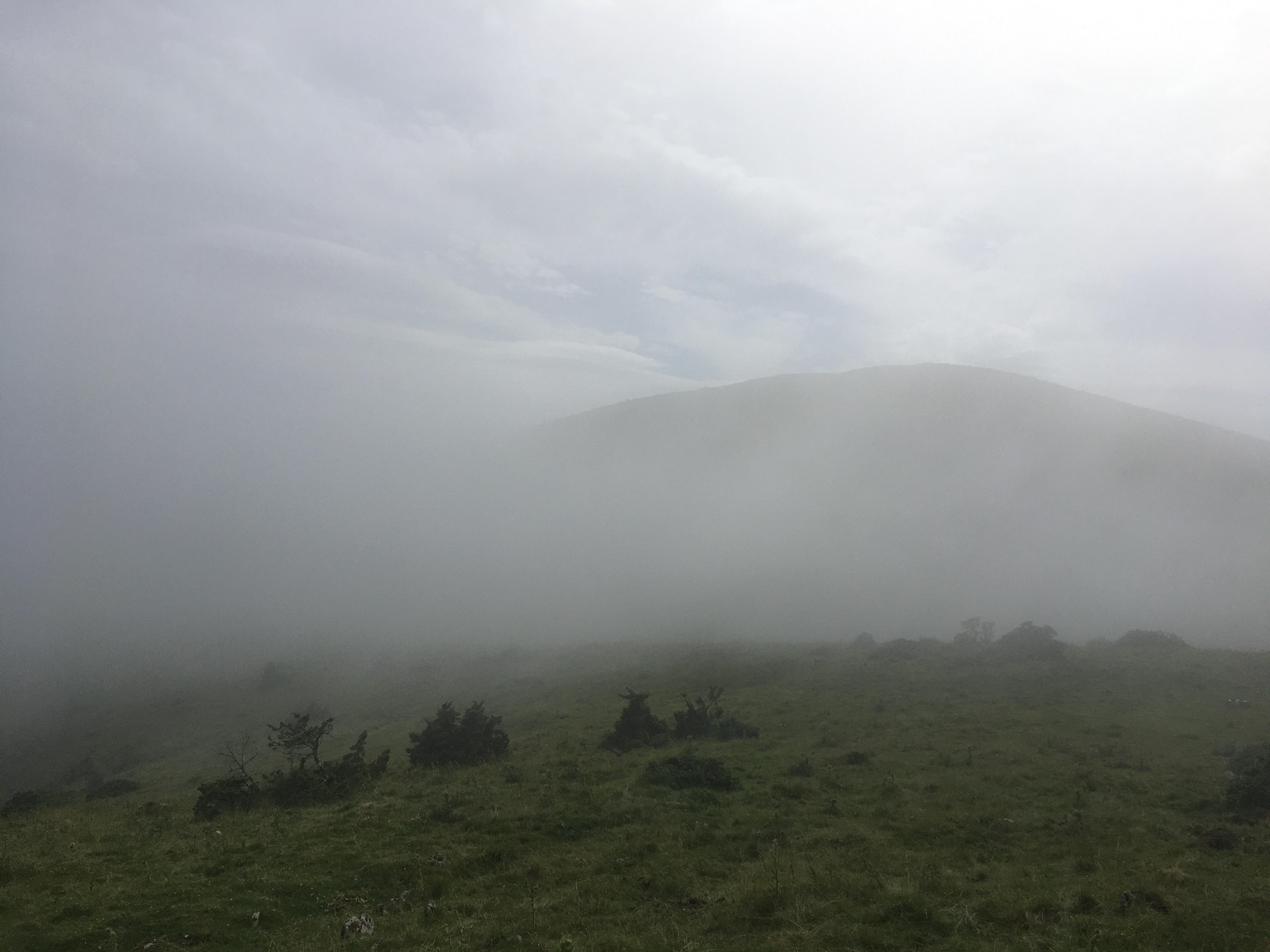 3 fog 17h05