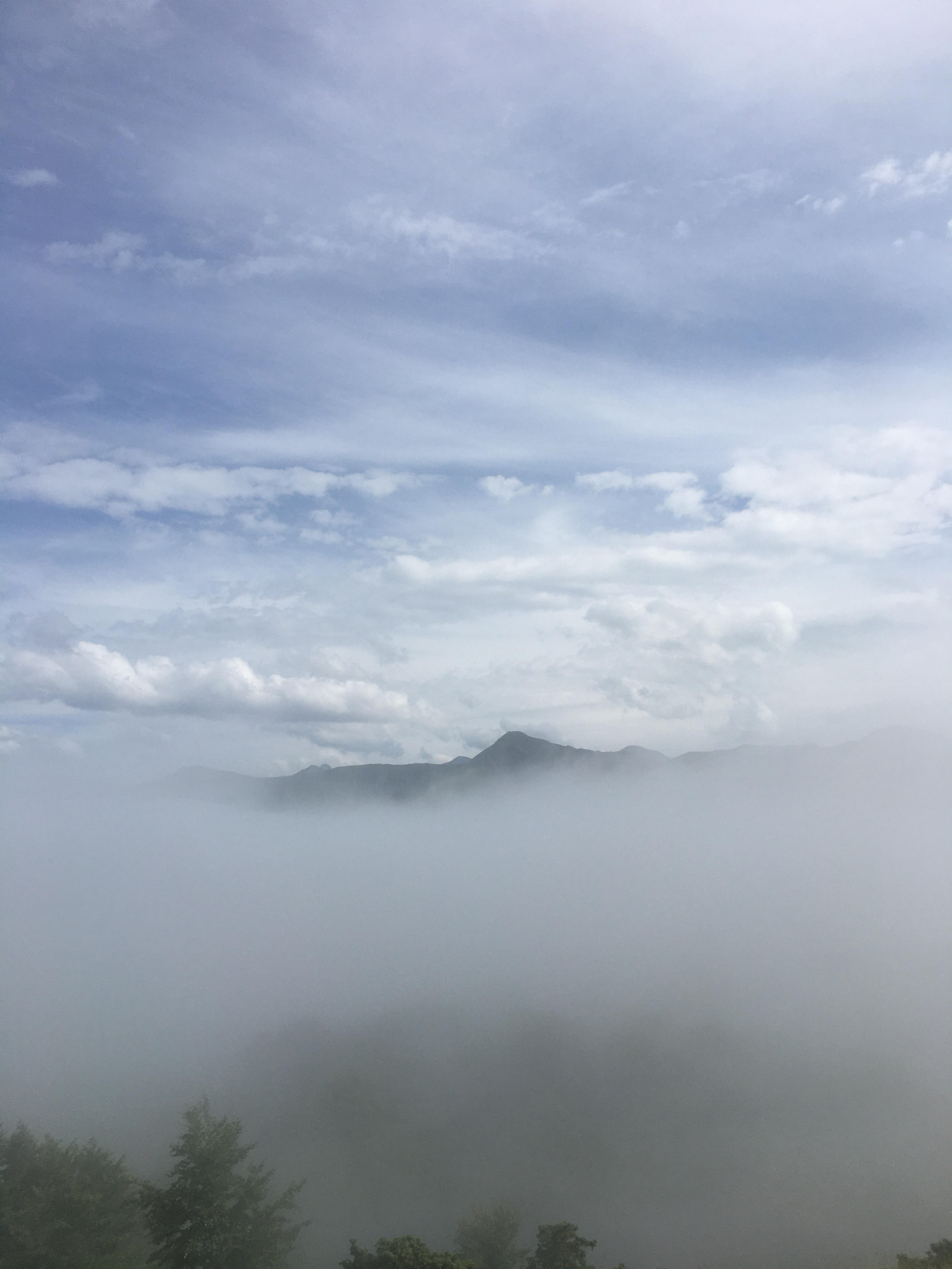 5 fog 17h06
