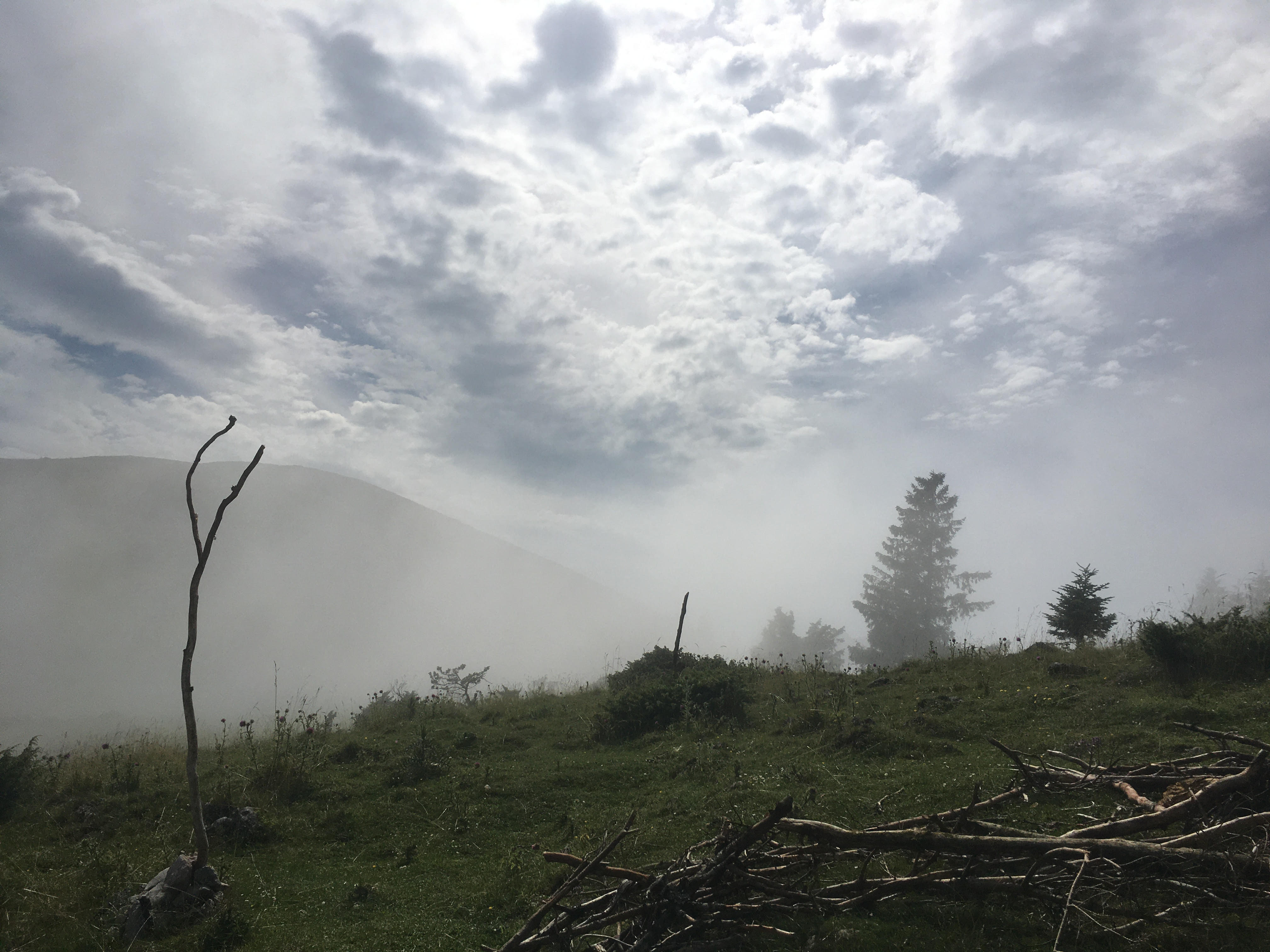 7 fog 17h07