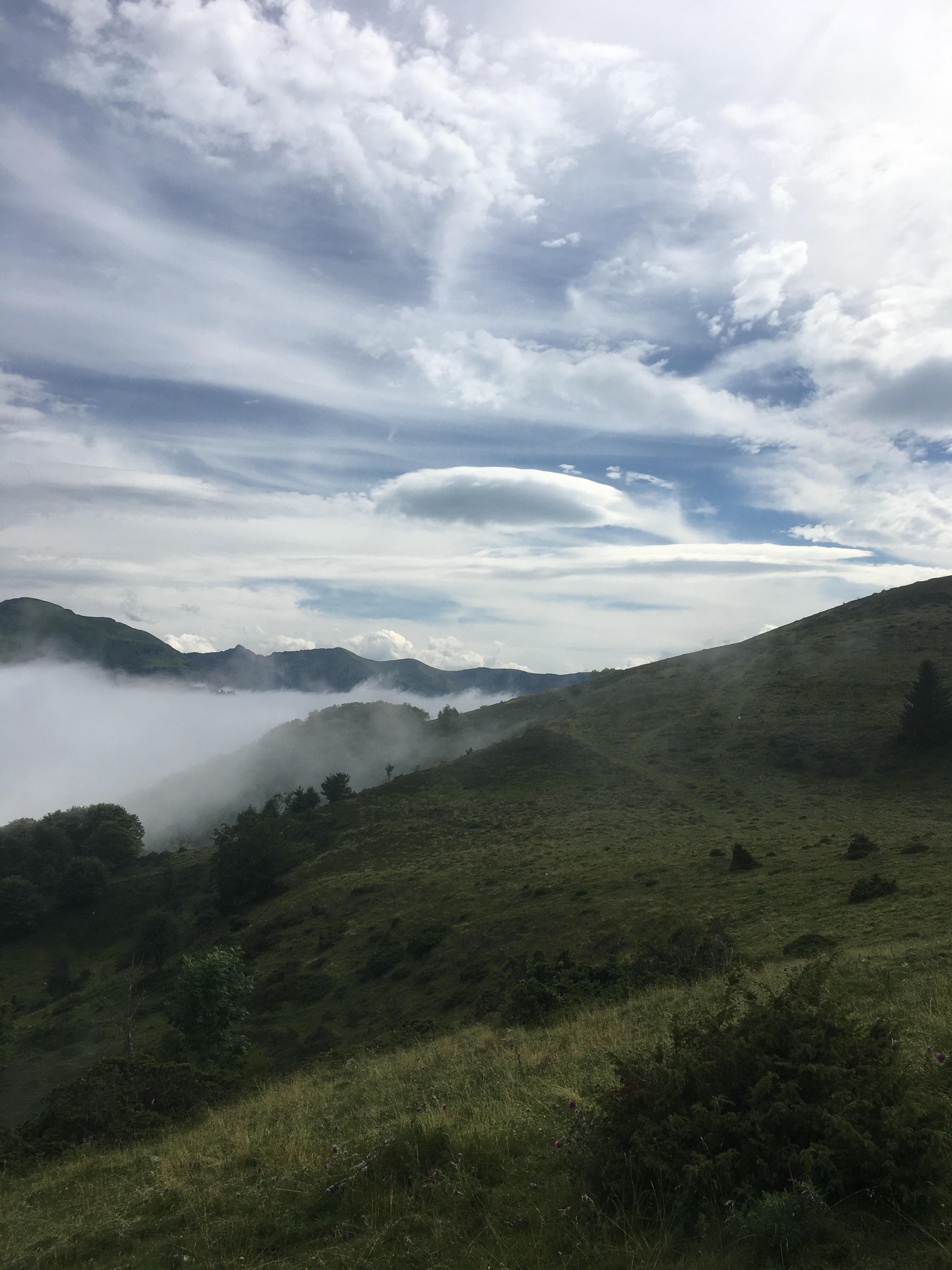 9 fog 17h09
