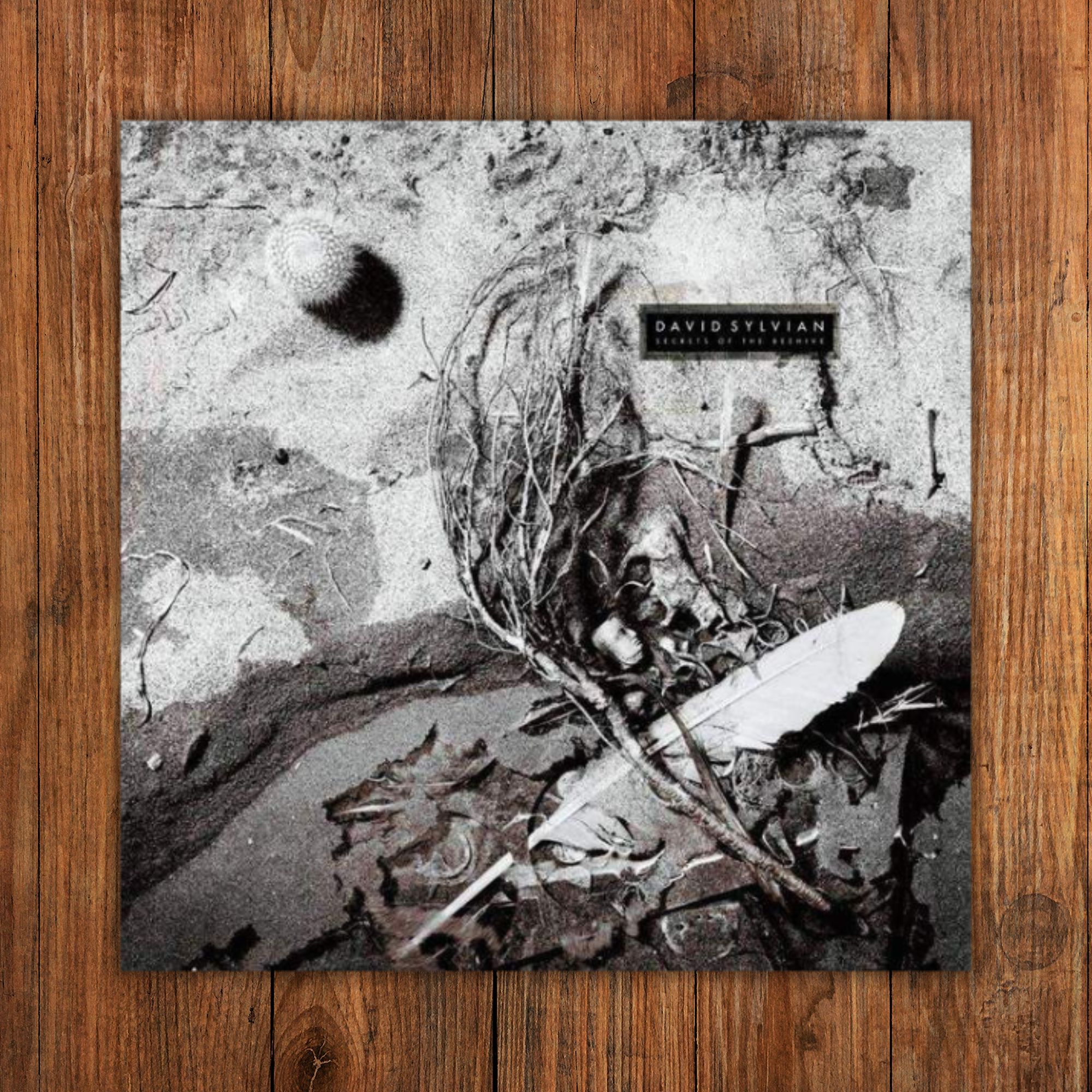 David Sylvian - Secrets of the Beehive