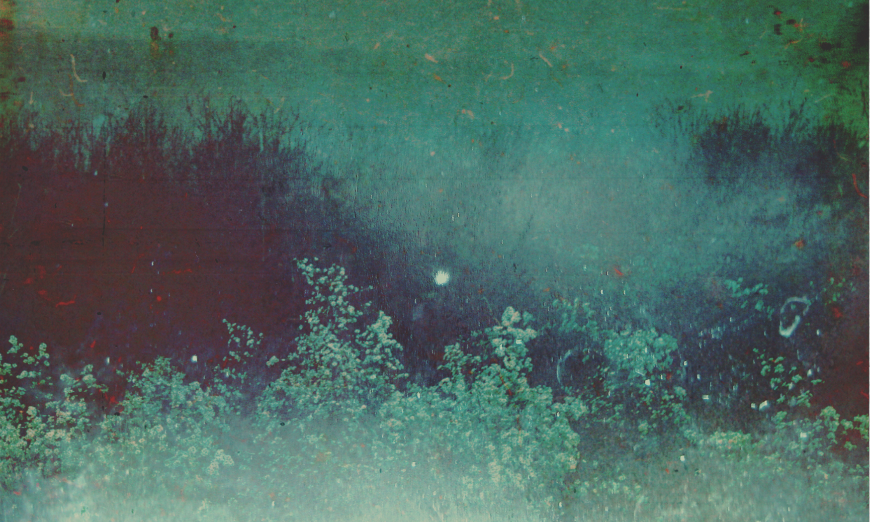 Tapes and Topographies - Partial Holograms