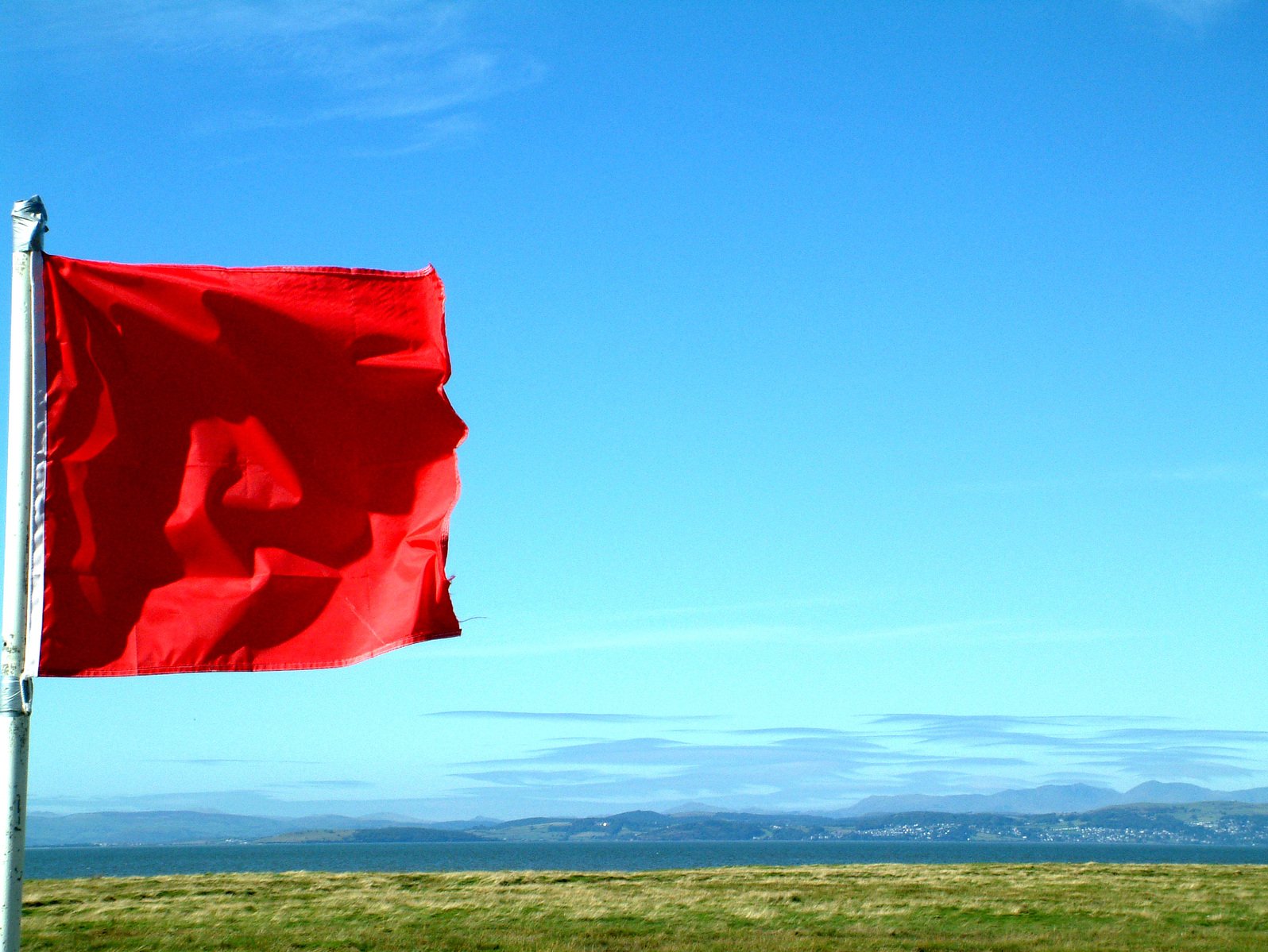 Unmasking Suspicious Activity: Real-Life Examples and Red Flags