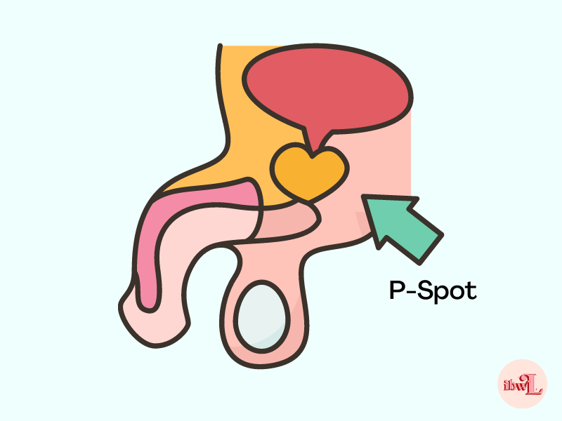 Illustration of the p-spot