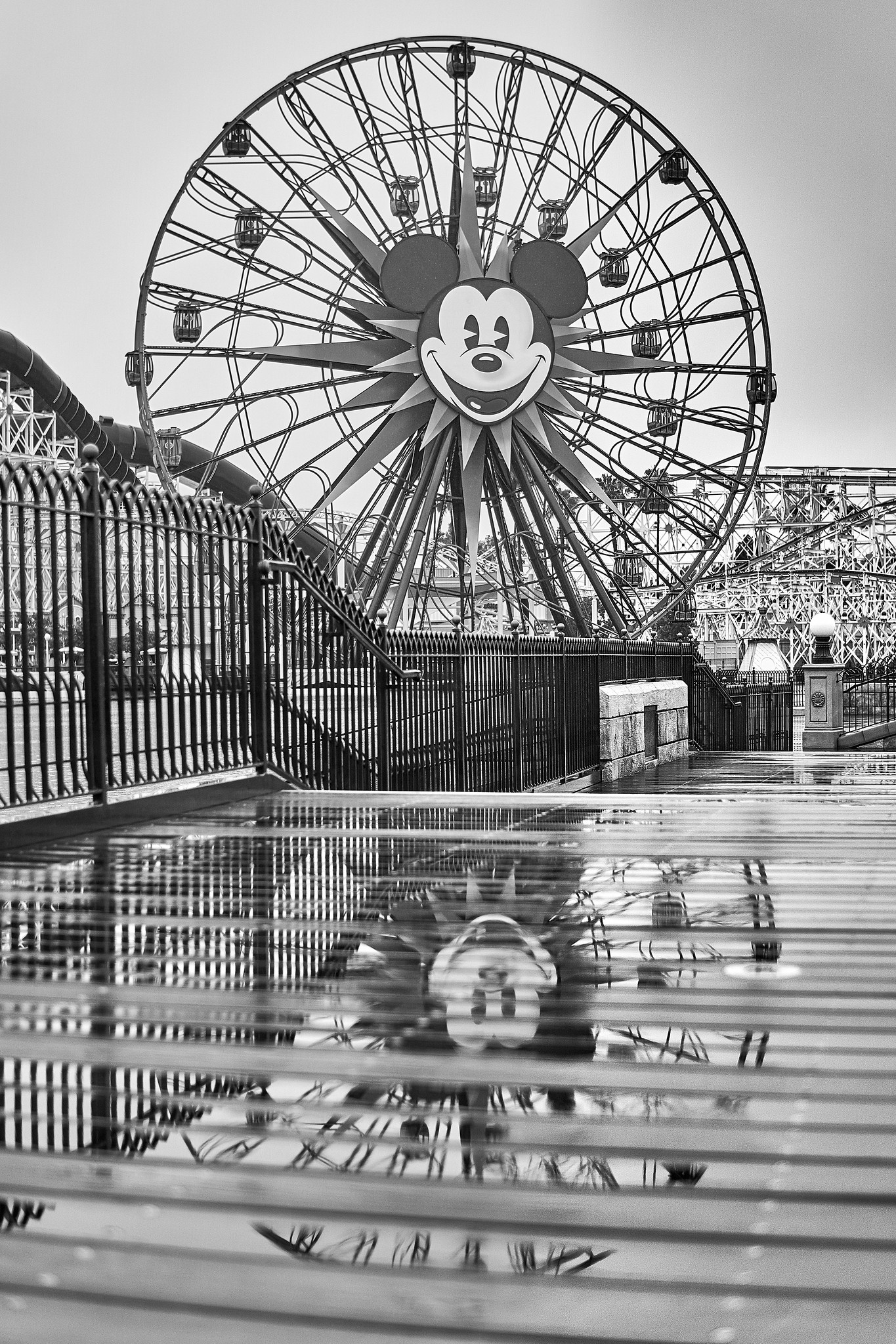 Rainy Valentine Day Reflection of Mickey's Fun Wheel at Disney California Adventure Park Rainy Valentine Day Reflection of Mickey's Fun Wheel at Disney California Adventure Park