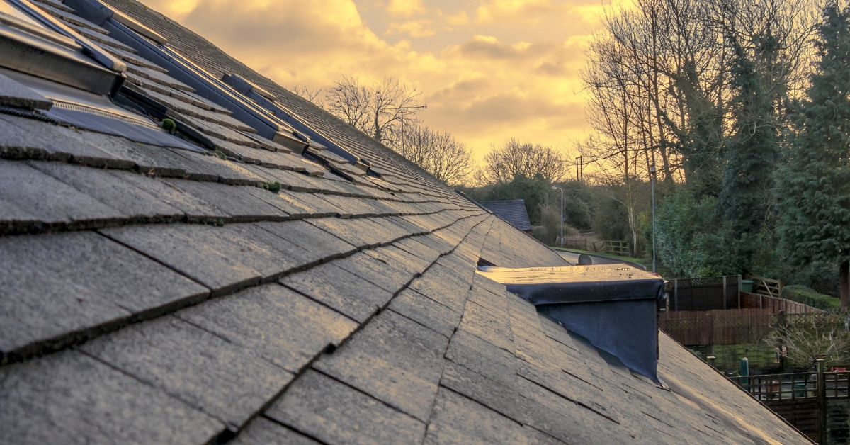 Did you know? The average residential roof has over 10,000 individual shingles!