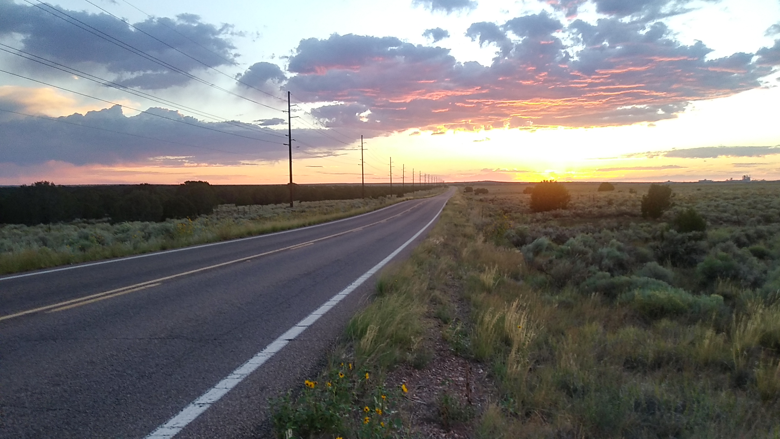 Abstract background representing digital growth and internet assets