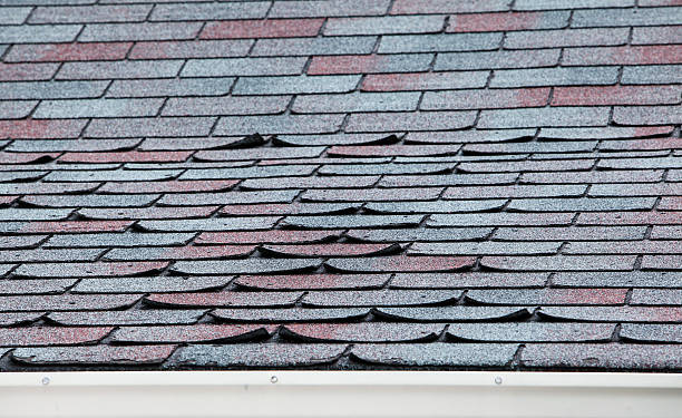 Wind-Damage Shingles: What Port Chester Homes Face