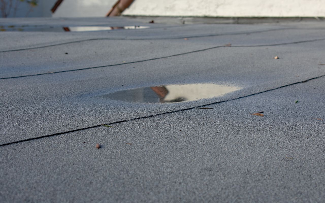 Top Solutions for Flat Roof Ponding Water in Port Chester
