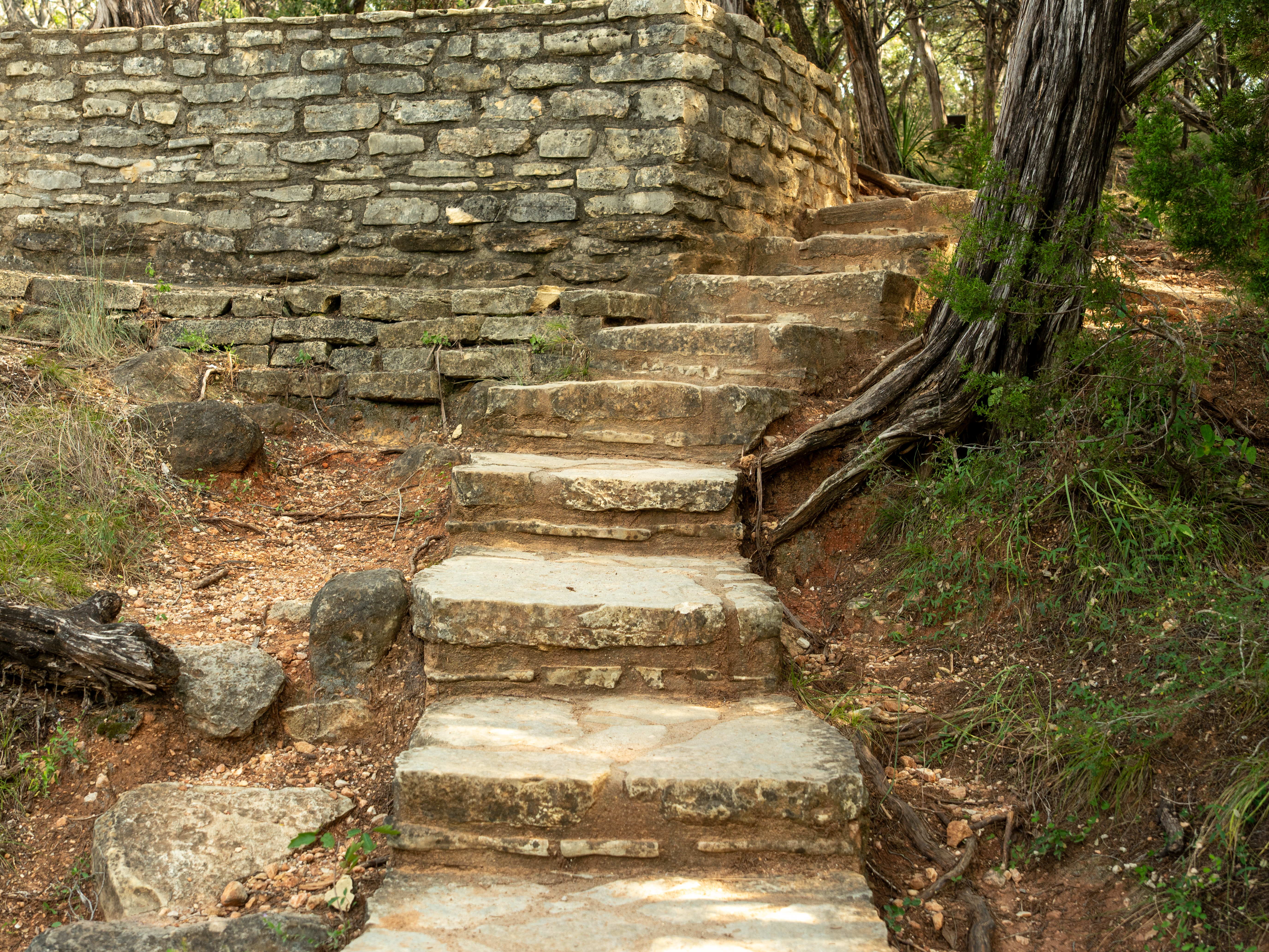 Scenic hiking path with stone steps and tree roots along a trail at Pedernales Falls State Park. Scenic hiking path with stone steps and tree roots along a trail at Pedernales Falls State Park.