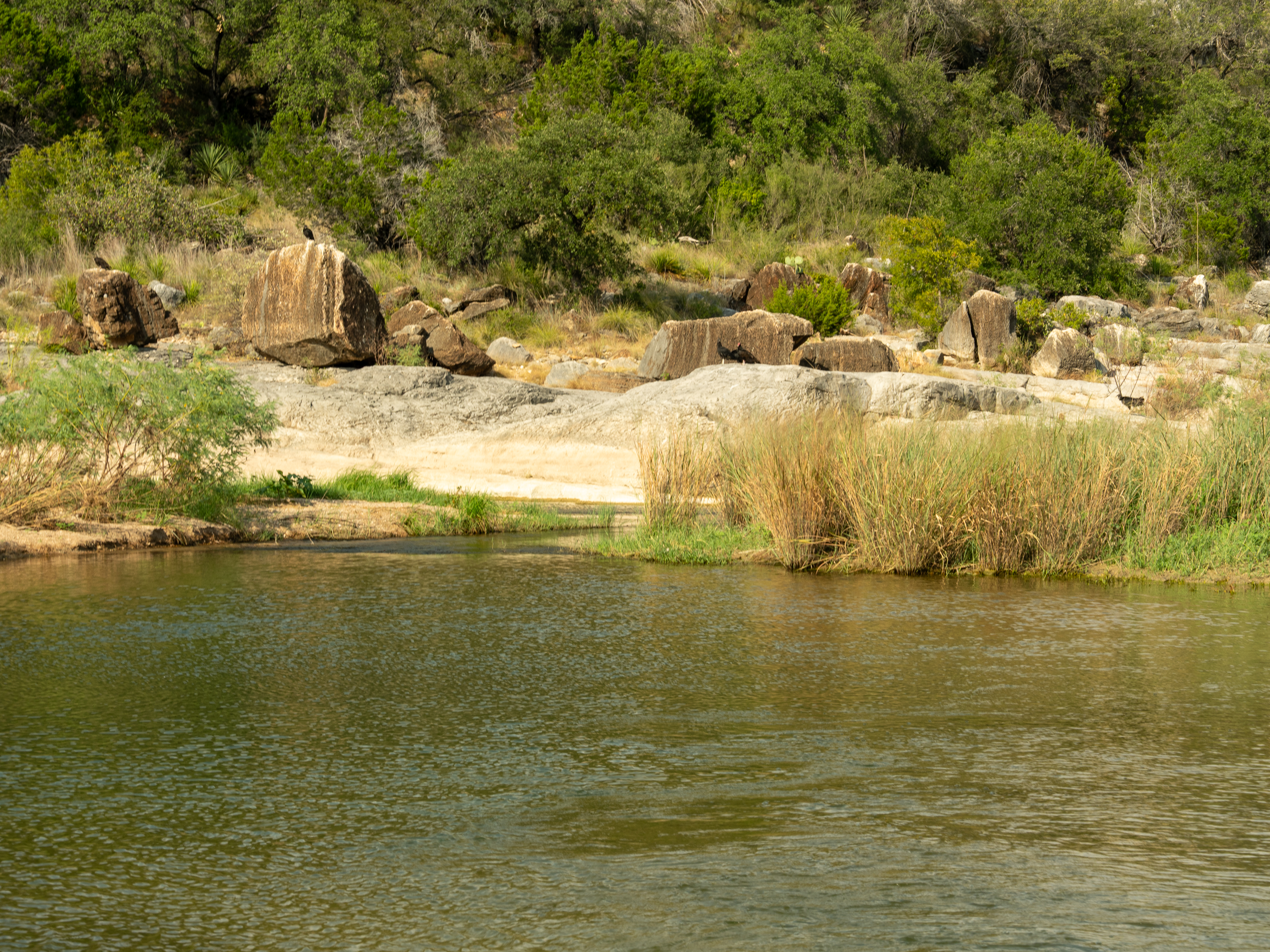 Scenic view of the Pedernales River shoreline with rocks, greenery, and clear water at Pedernales Falls State Park near Austin, Texas. Scenic view of the Pedernales River shoreline with rocks, greenery, and clear water at Pedernales Falls State Park near Austin, Texas.
