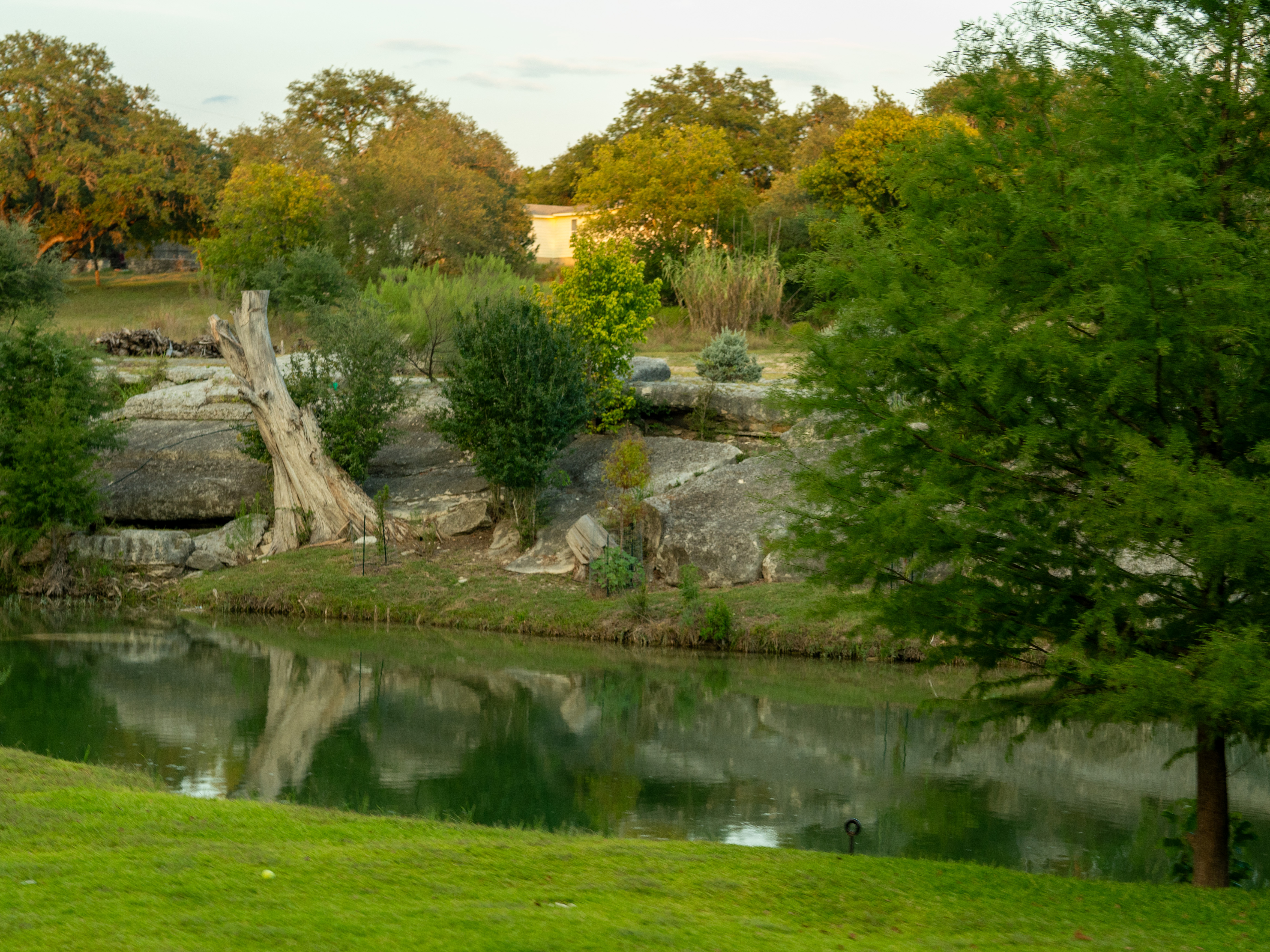 Scenic view of the Blanco River in Wimberley, TX, with calm water, limestone rocks, and cypress trees reflecting the beauty of the Hill Country. Scenic view of the Blanco River in Wimberley, TX, with calm water, limestone rocks, and cypress trees reflecting the beauty of the Hill Country.