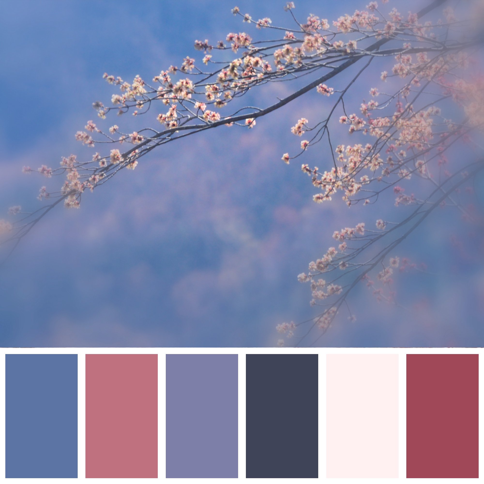 color palette from photo color palette from photo