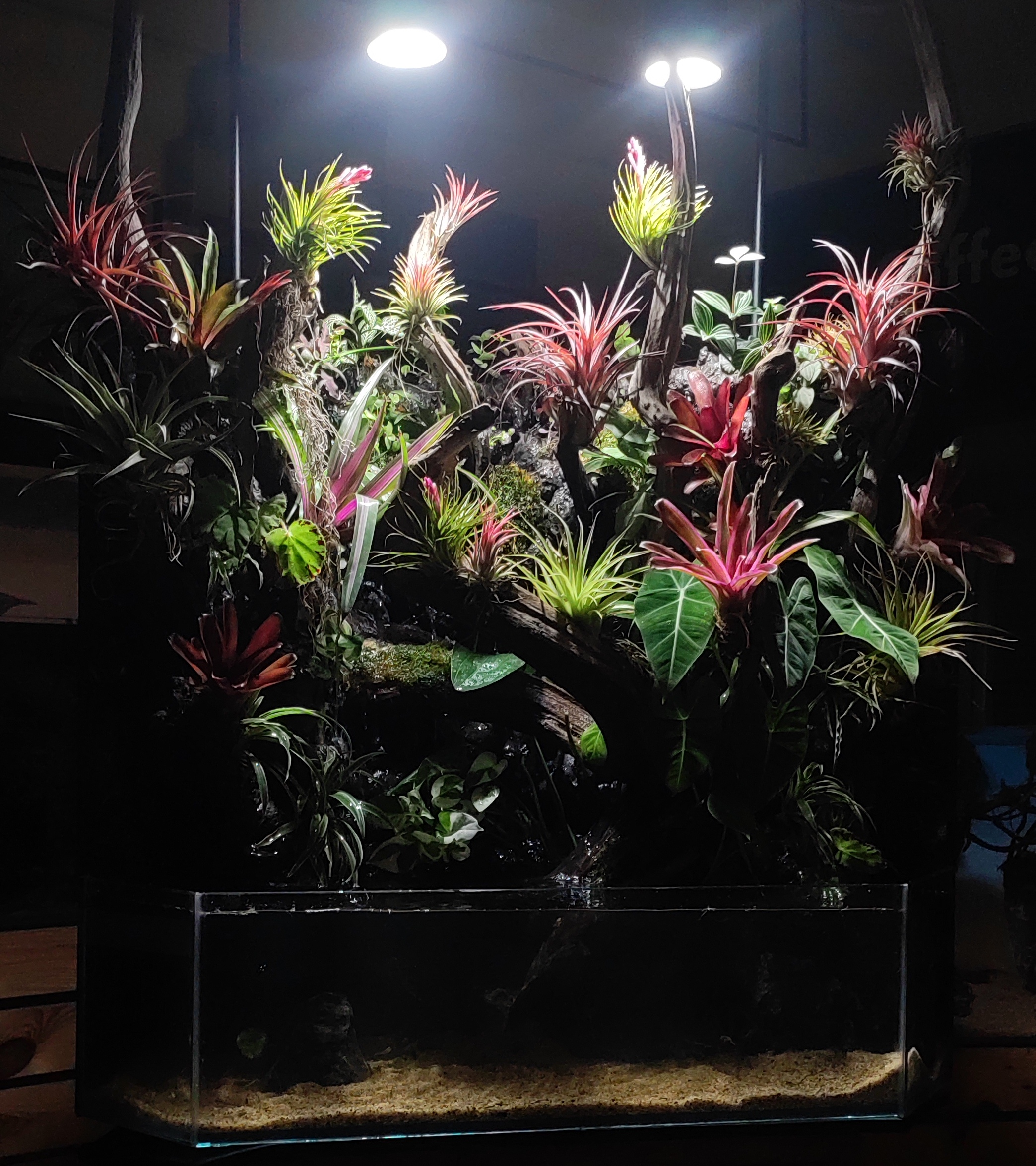 Paludarium