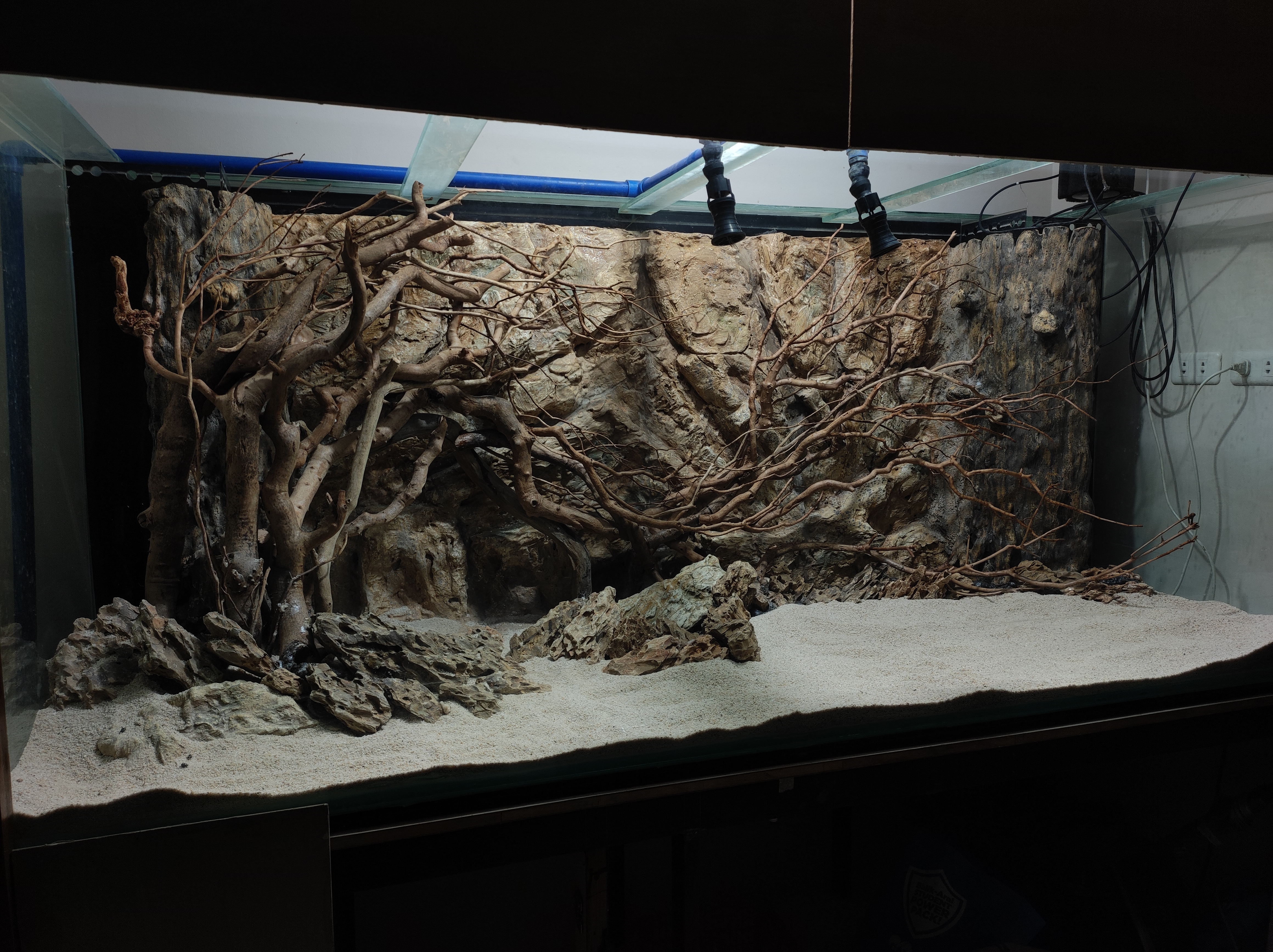 Aquascaping