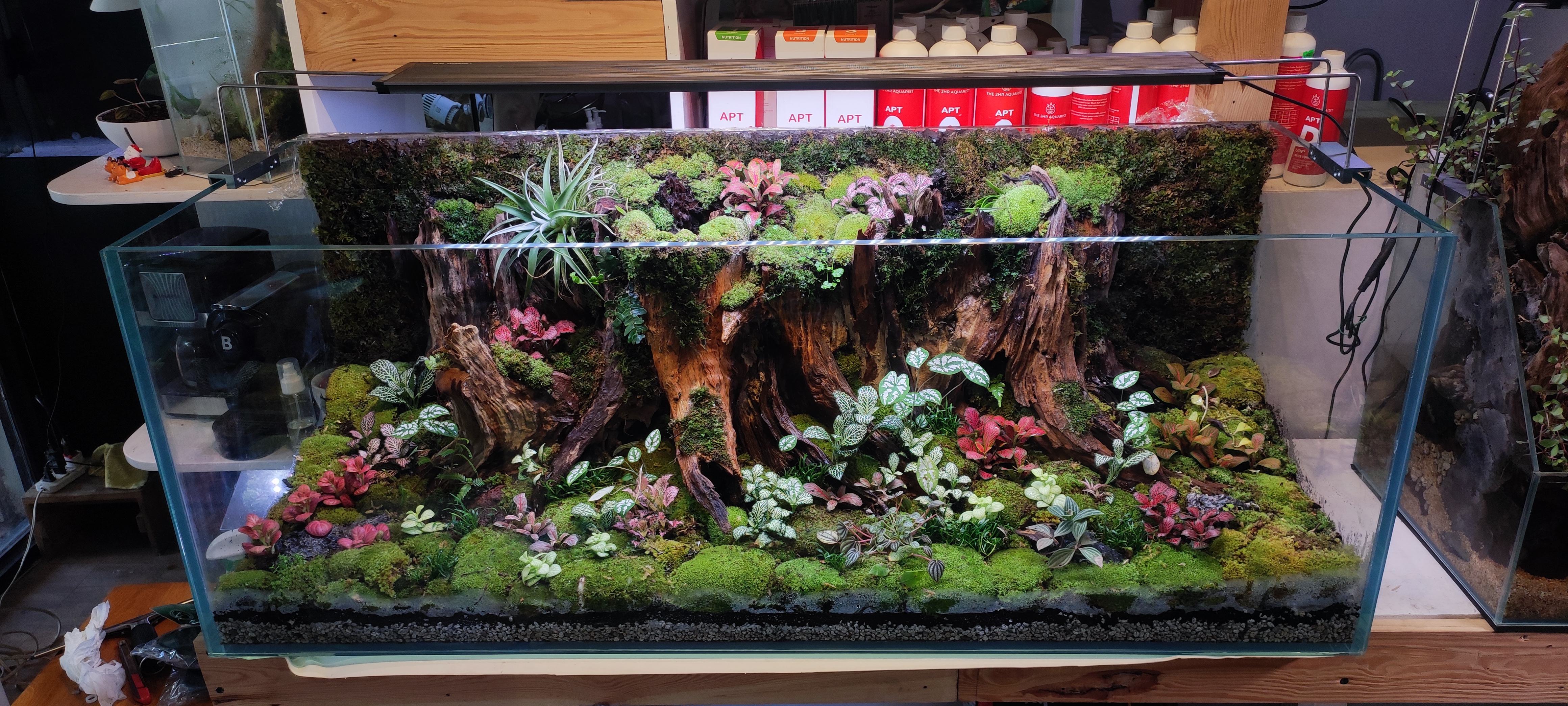 Terrarium