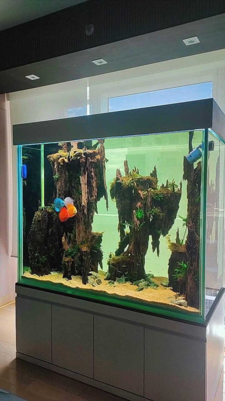 Aquascaping