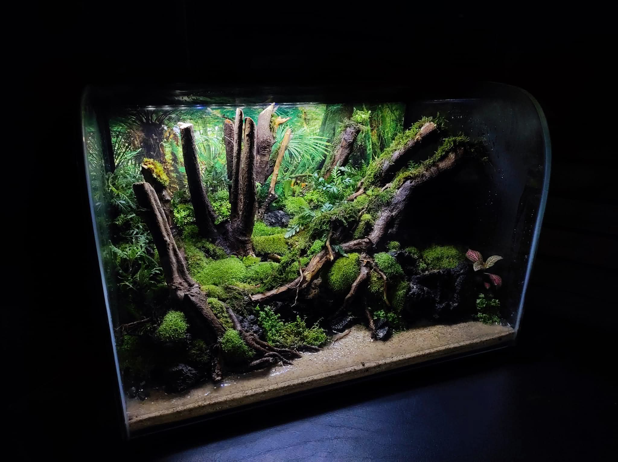 Pet Enclosure
