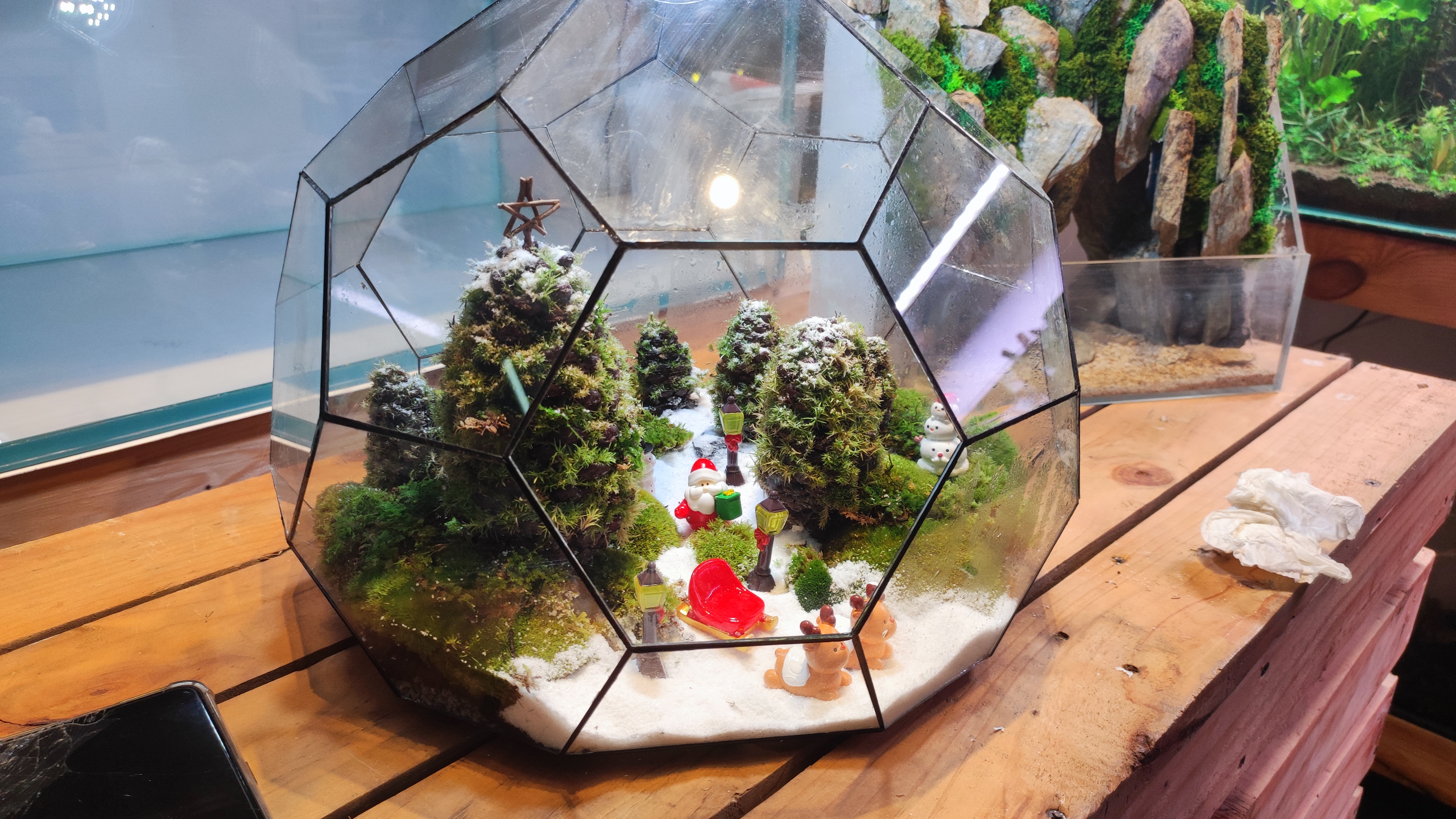 Terrarium