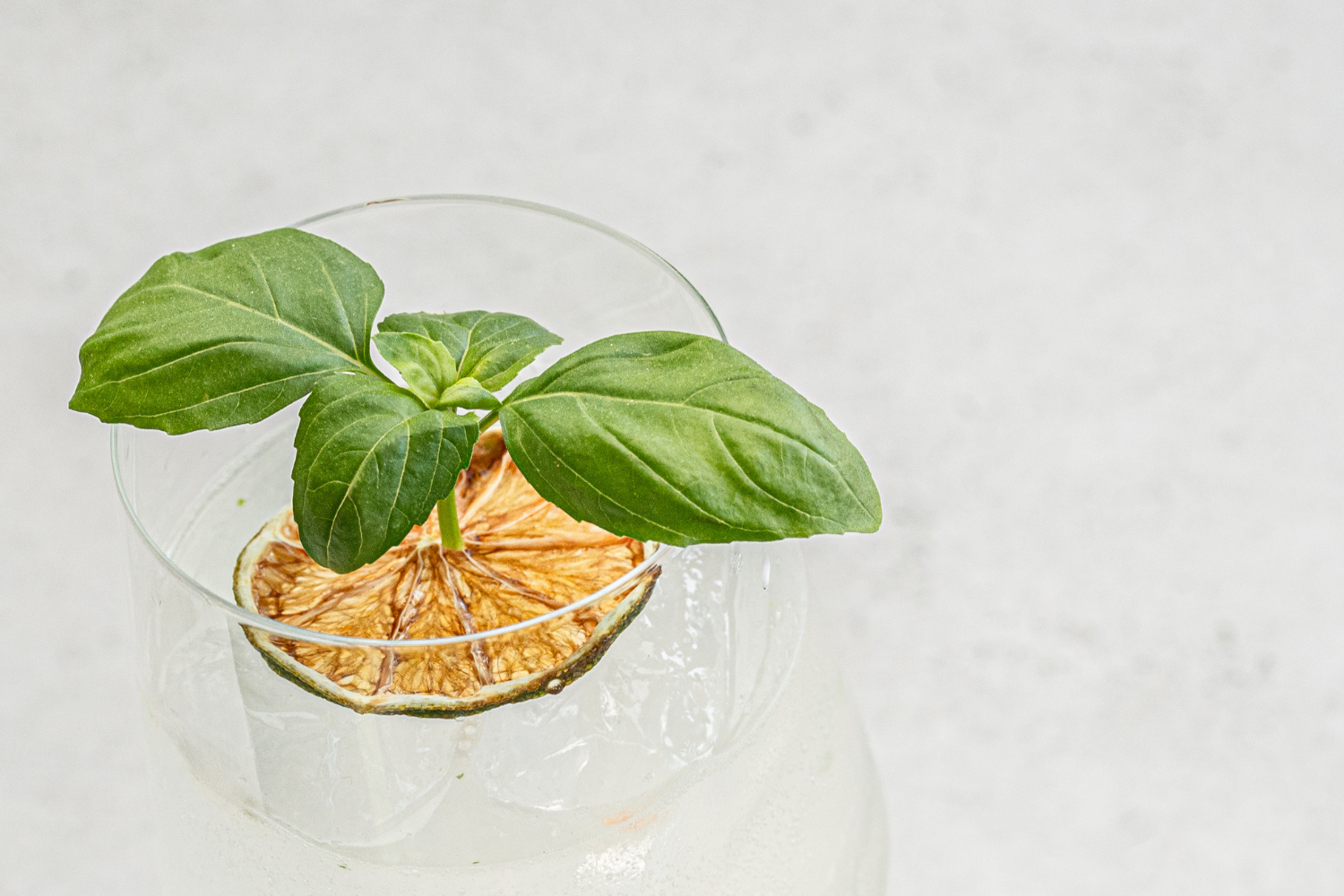 Ropogós Spritz – Olasz koktélélmény Budapest kertvárosában Ropogós Spritz – Olasz koktélélmény Budapest kertvárosában