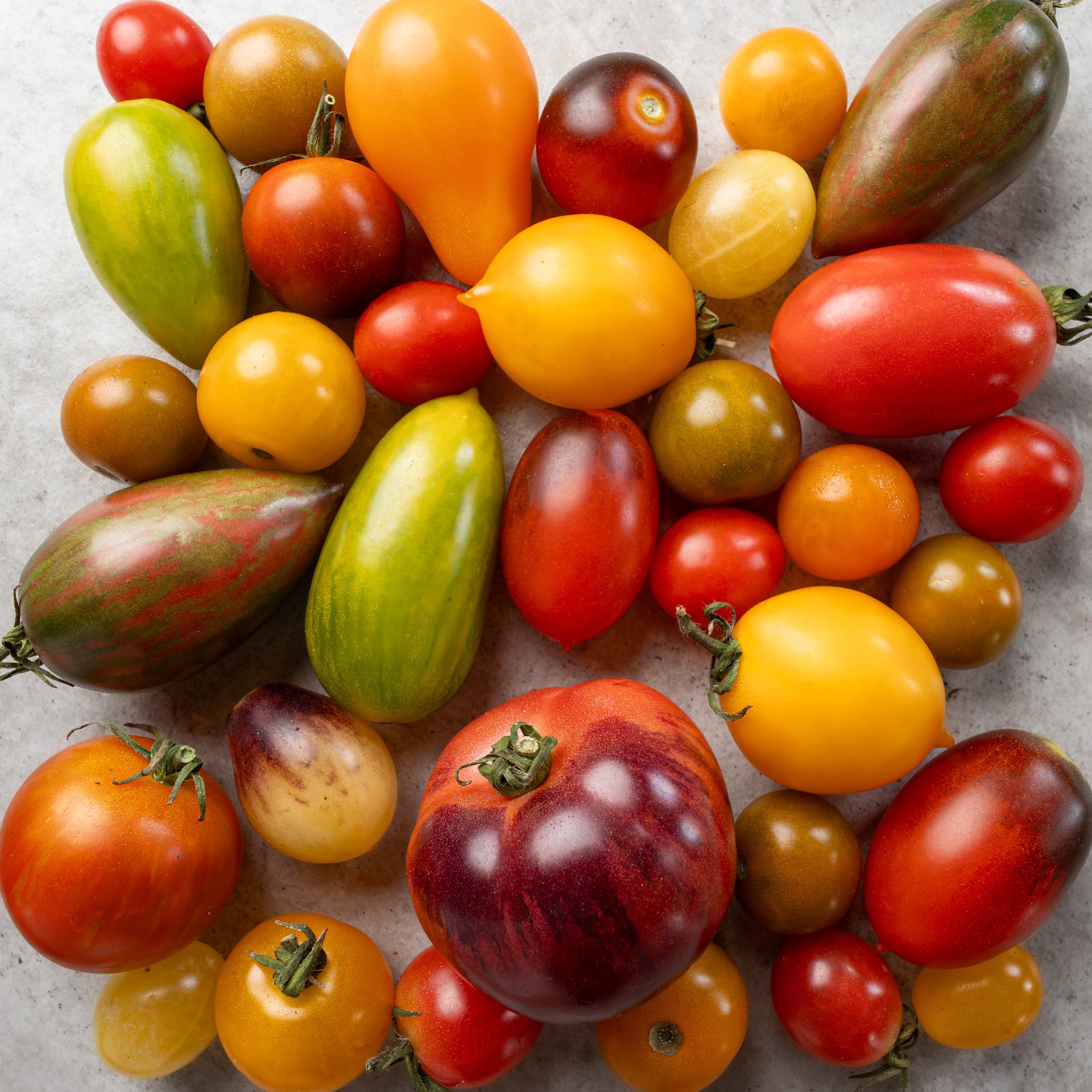 Color tomato