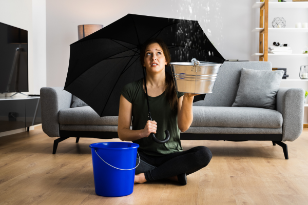 Leaking roof - woman with umbrella