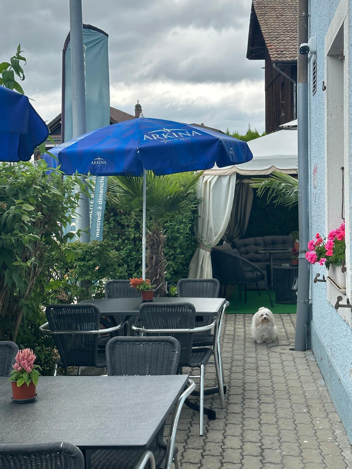 hôtel Sorvilier / séjour Jura bernois / hébergement Moutier / hôtel convivial Jura / restaurant brésilien Sorvilier / rodízio à volonté Jura / feijoada Moutier / chambres d’hôtel Reconvilier / hôtel Tavannes / brunch Sorvilier / séminaire Jura bernois / hôtel avec restaurant Sorvilier / nuitée Jura bernois / hôtel familial Saint-Imier / hébergement Court / hôtel Tramelan / restaurant familial Jura / séjour week-end Jura bernois hôtel Sorvilier / séjour Jura bernois / hébergement Moutier / hôtel convivial Jura / restaurant brésilien Sorvilier / rodízio à volonté Jura / feijoada Moutier / chambres d’hôtel Reconvilier / hôtel Tavannes / brunch Sorvilier / séminaire Jura bernois / hôtel avec restaurant Sorvilier / nuitée Jura bernois / hôtel familial Saint-Imier / hébergement Court / hôtel Tramelan / restaurant familial Jura / séjour week-end Jura bernois