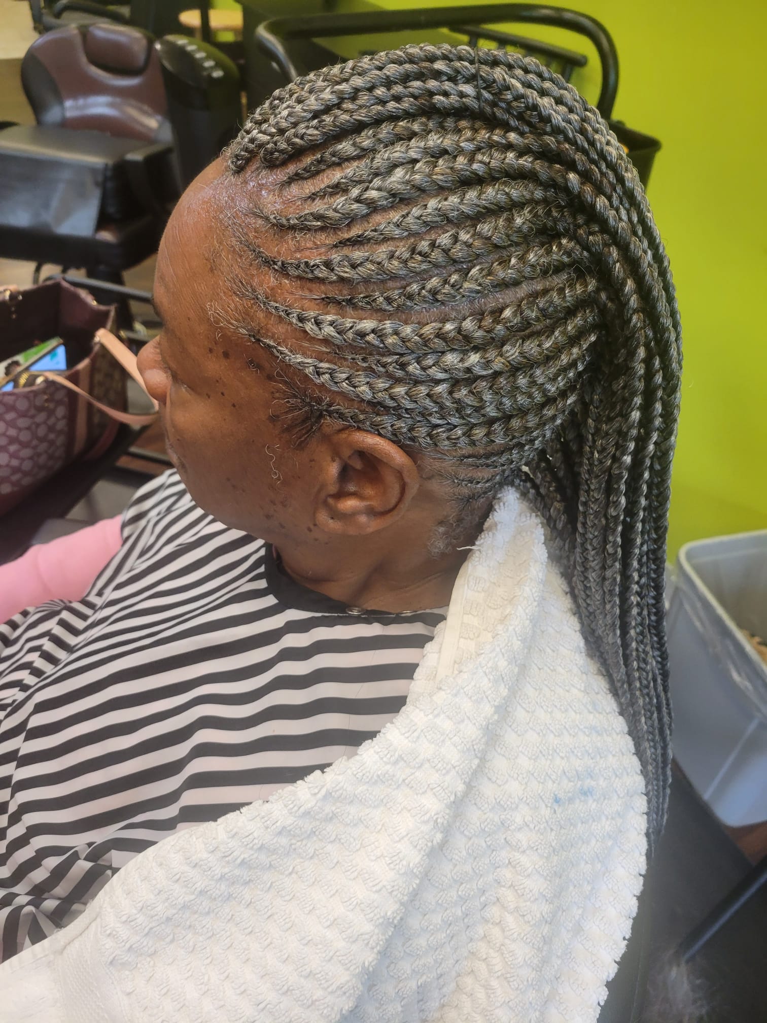 Candiace Dillard Has New Waist Length Micro-Braid Hairstyle