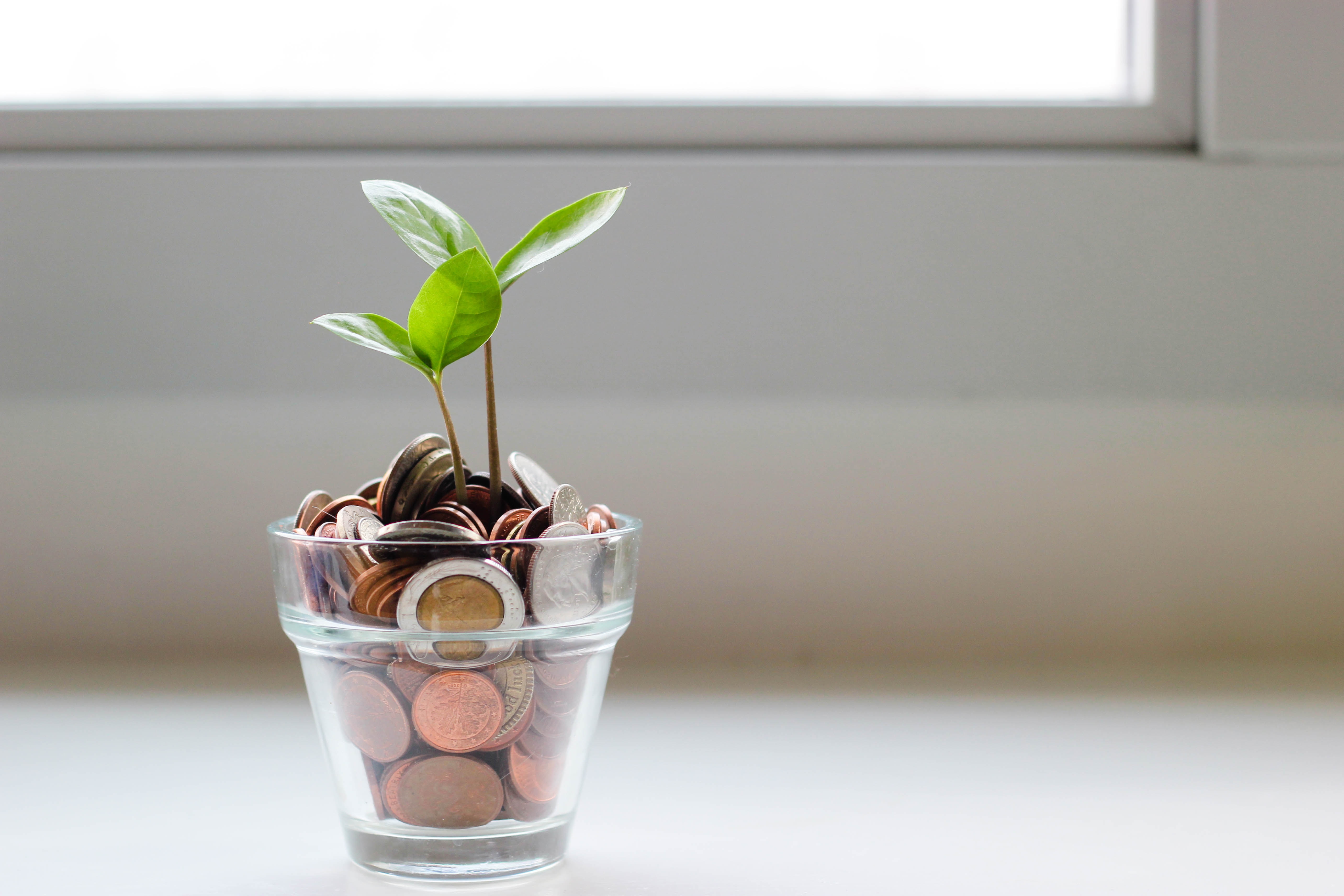 SMB finance