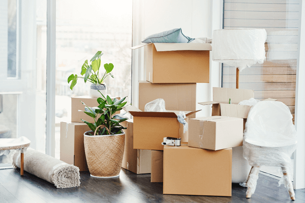 Unpacking and Organizing Service Denver