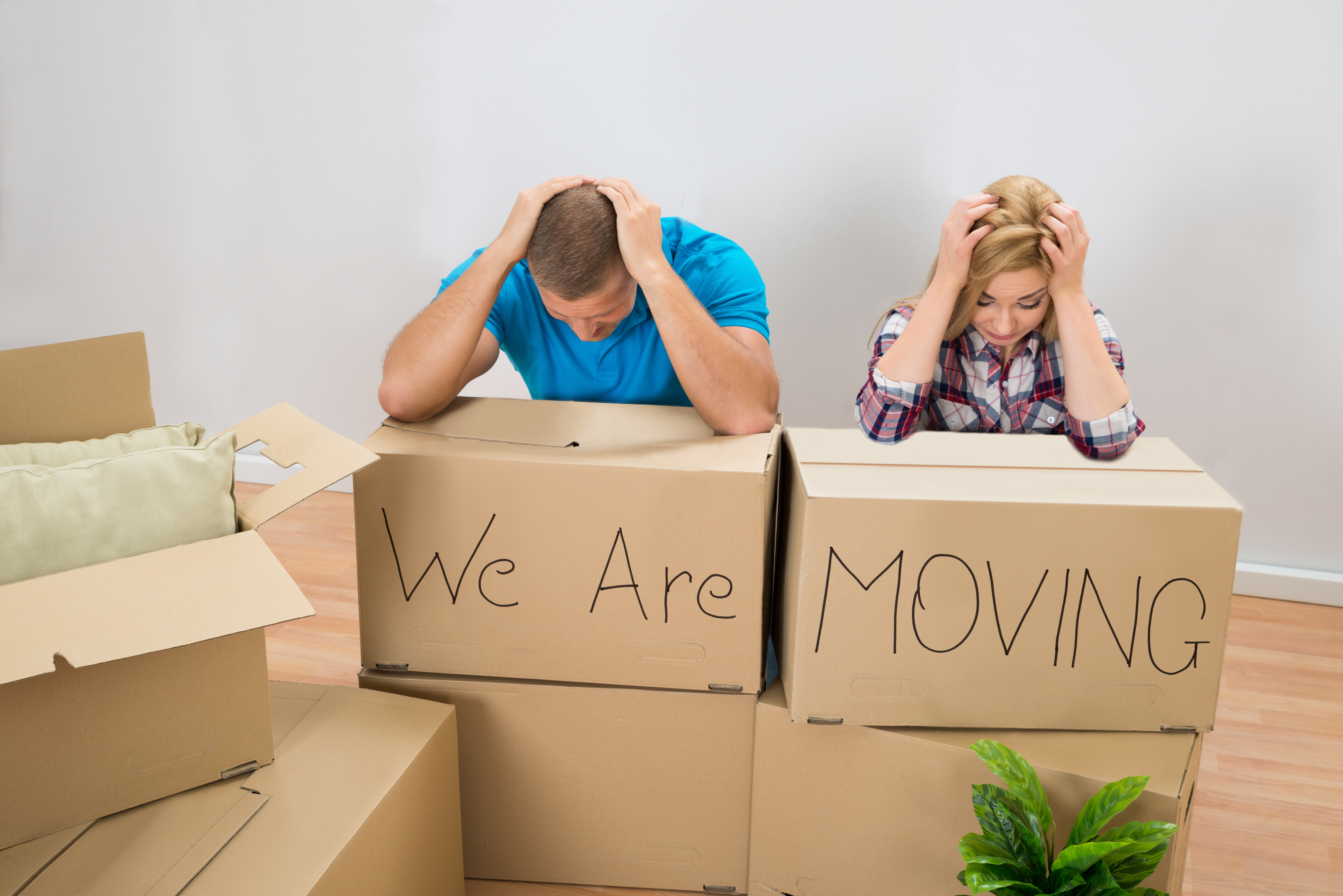 What Services Do Moving Companies Provide?