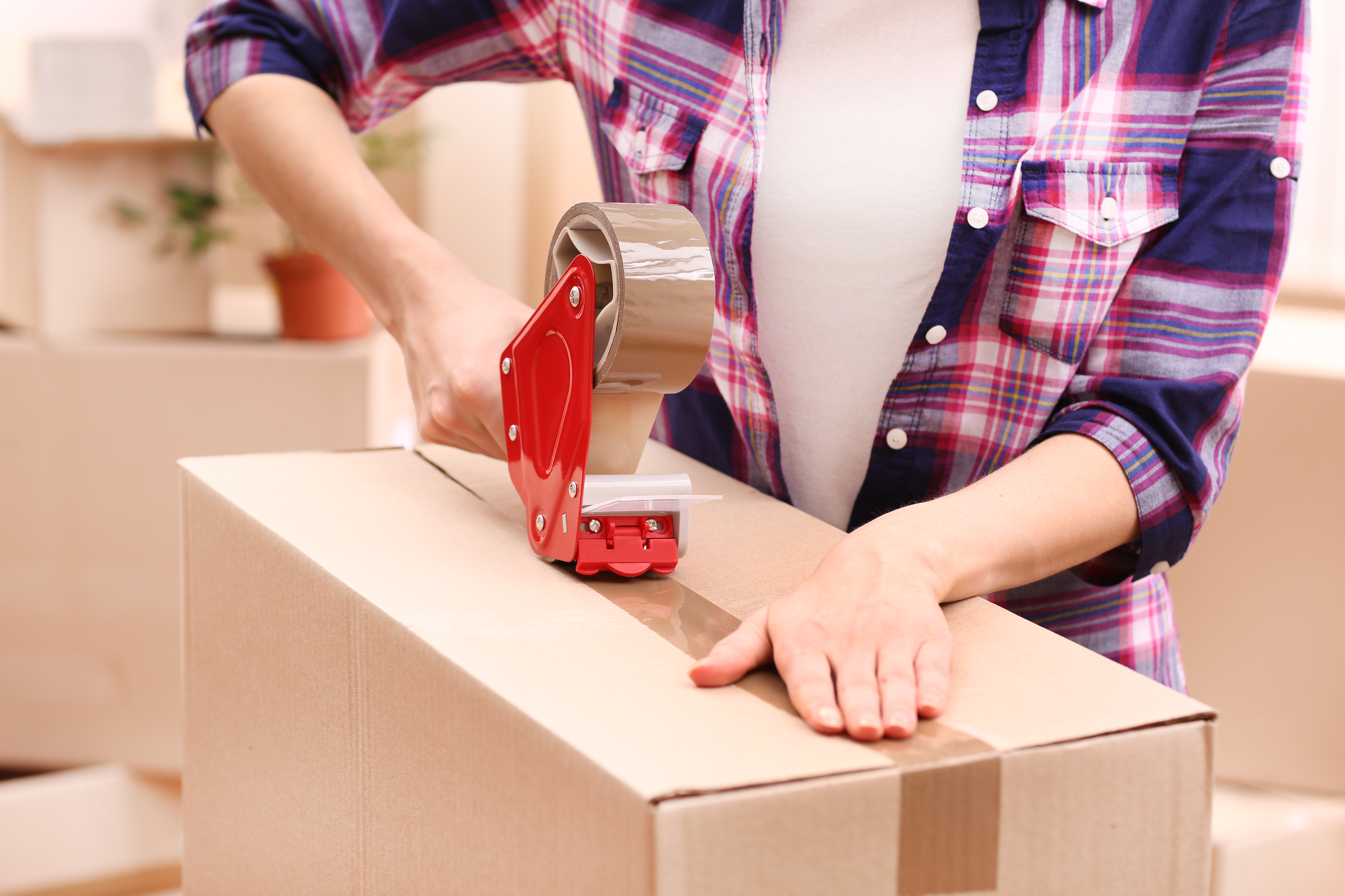 What Services Do Moving Companies Provide?