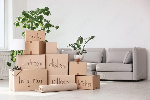 TOP 10 Strategies To Distress Your Big Move And Simplify The Process