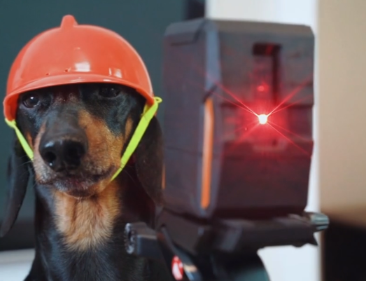 Dog with Hard Hat and Laser Level Dog with Hard Hat and Laser Level