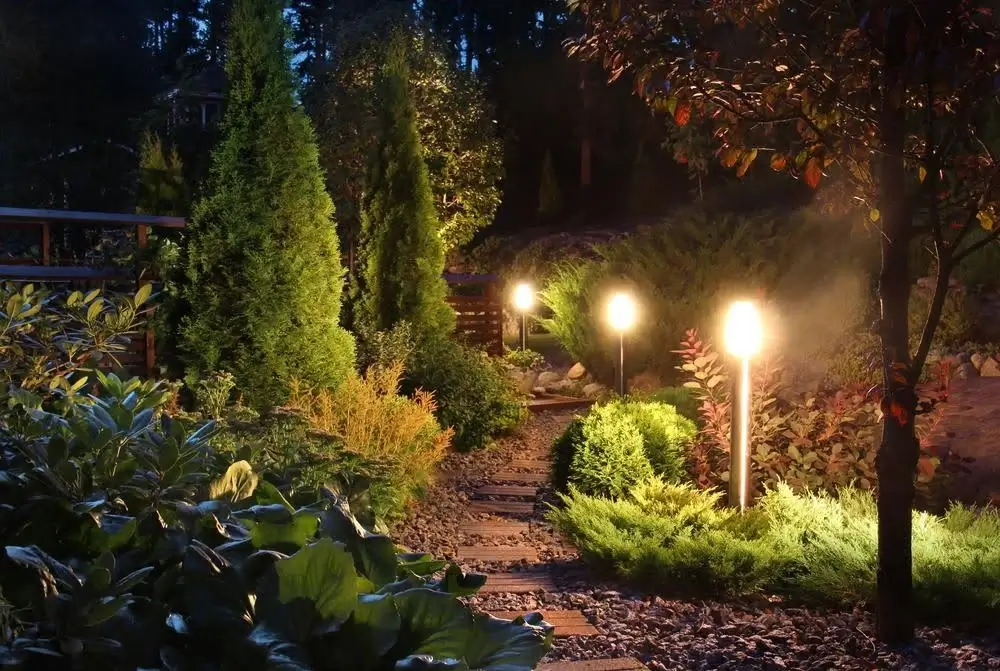 A beautifully lit garden at night, featuring various plants surrounded by gentle, glowing lights for a cozy vibe. A beautifully lit garden at night, featuring various plants surrounded by gentle, glowing lights for a cozy vibe.